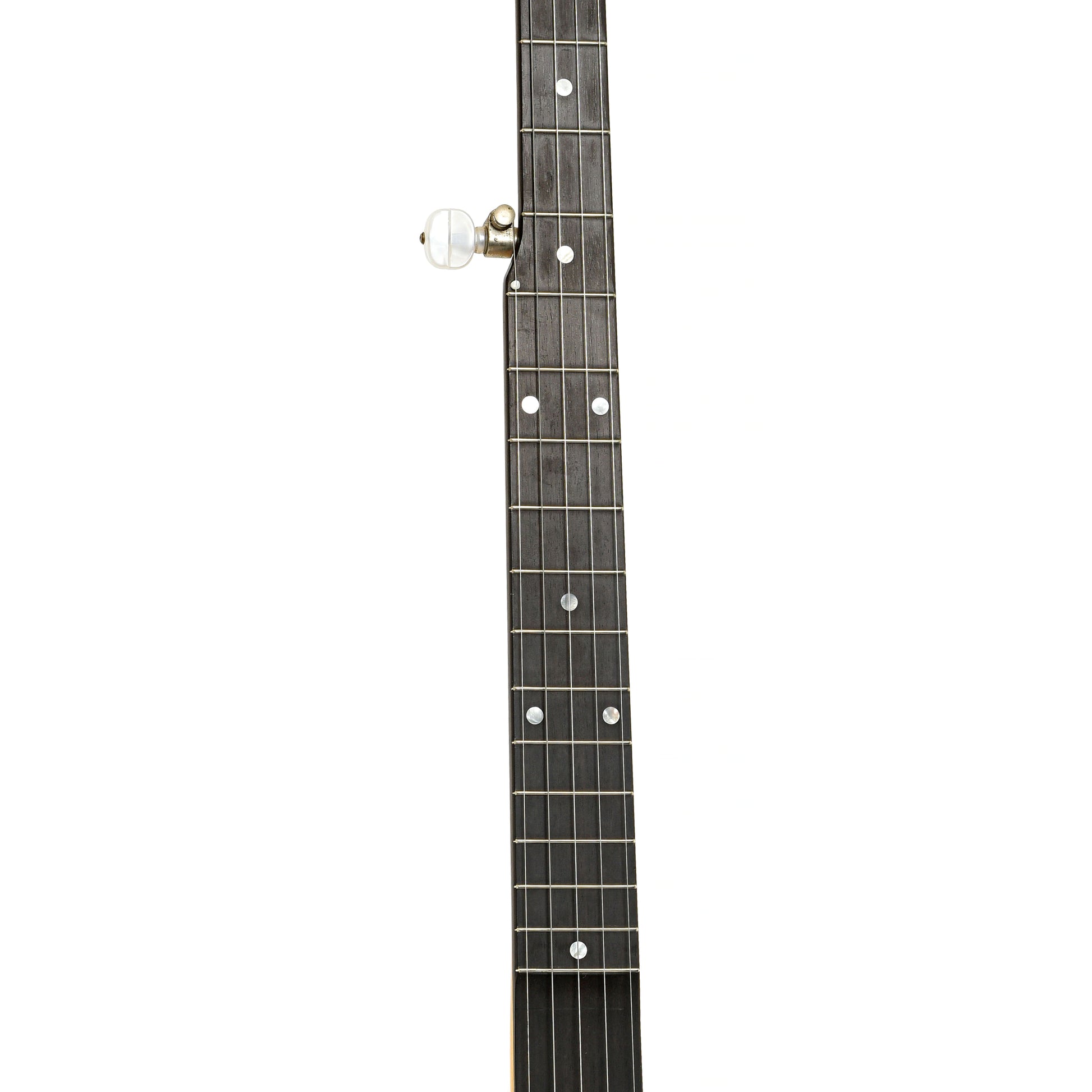 Fretboard of Bart Reiter Regent Open Back Banjo (2006)