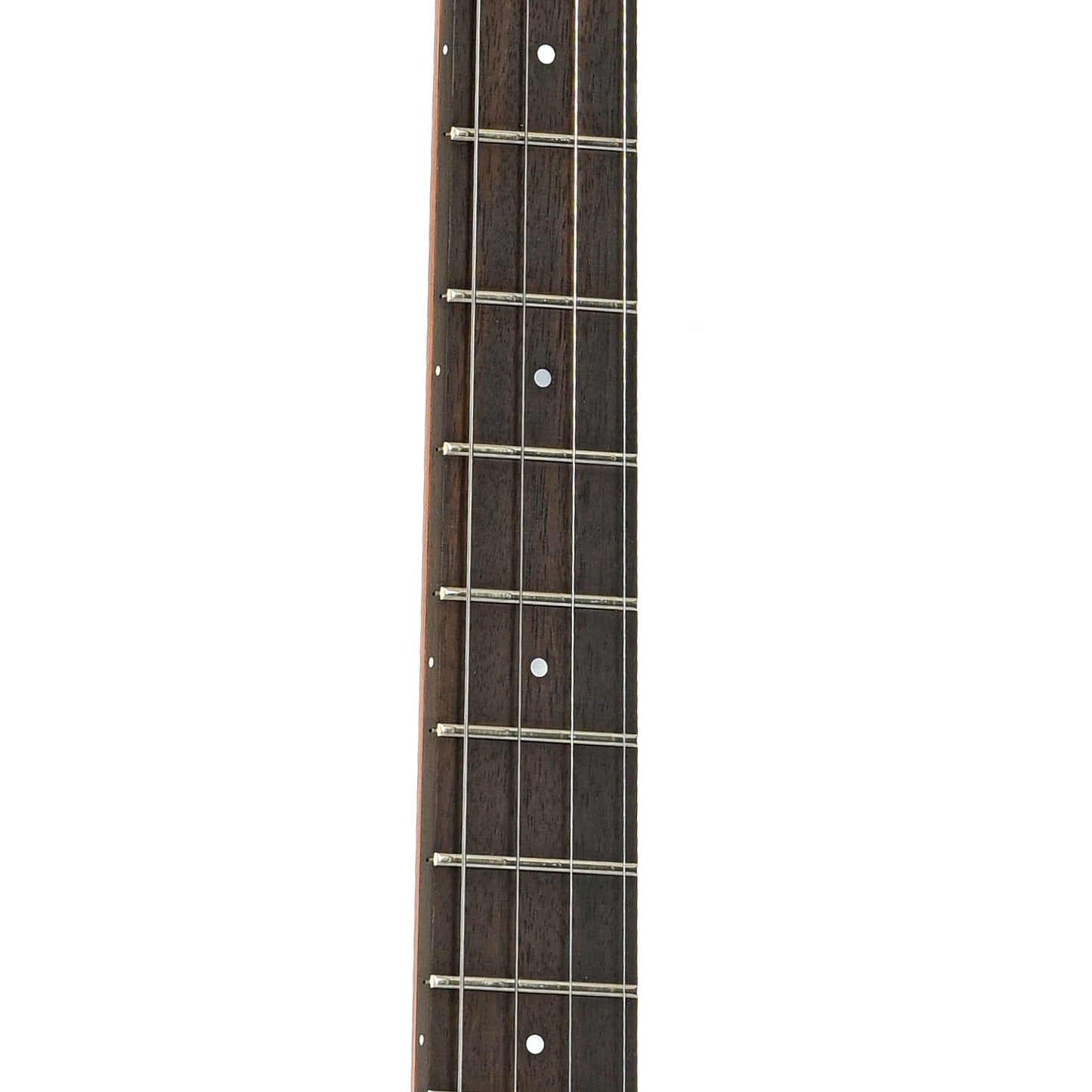 Fretboard of Ode Magician 11" Tenor Banjo