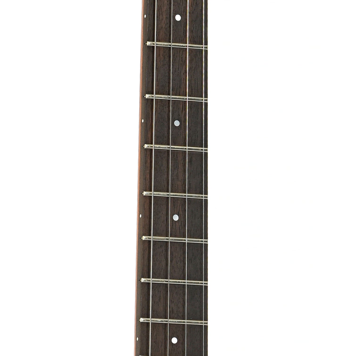 Fretboard of Ode Magician 11" Tenor Banjo