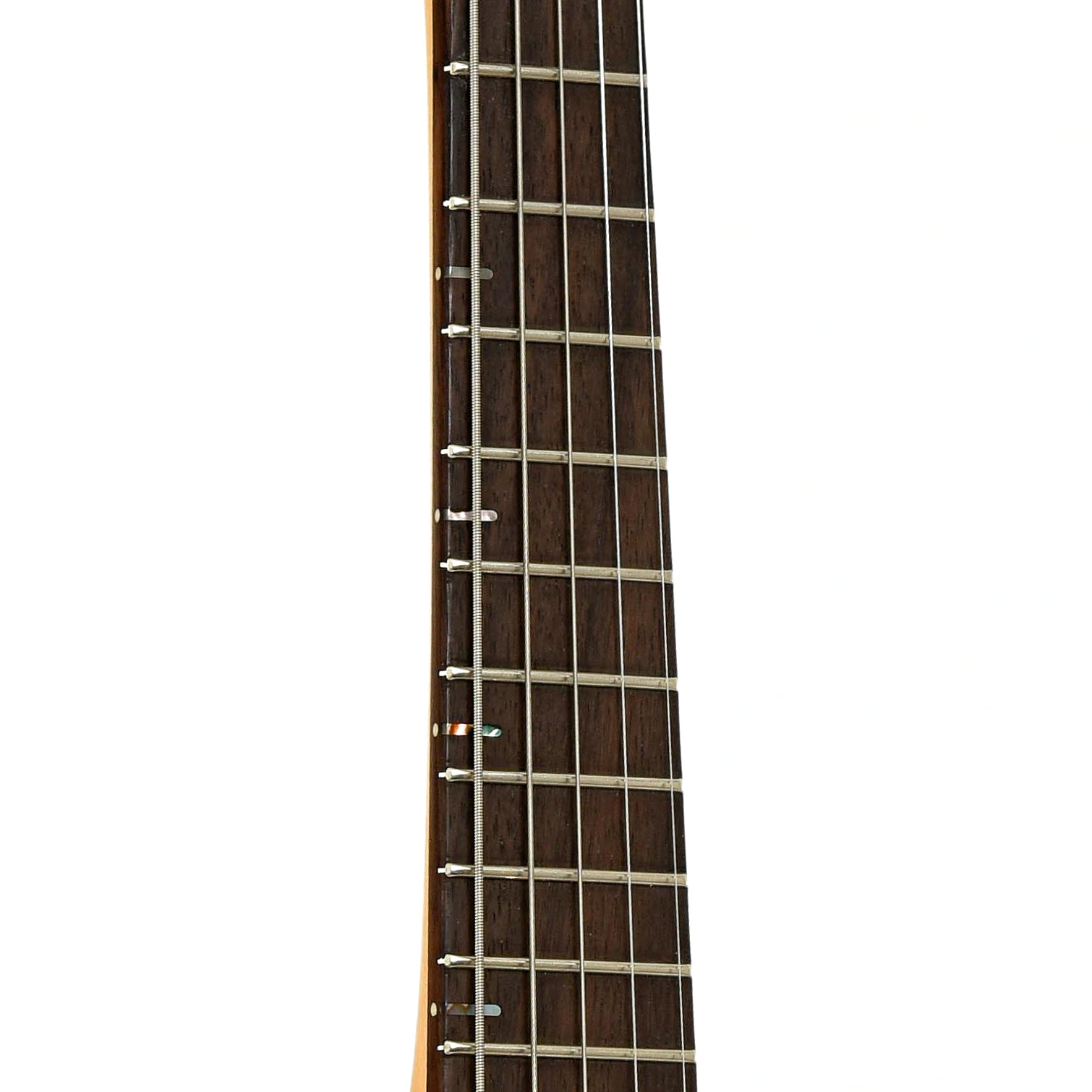 Fretboard of Mann SEM-5 Electric 5-String Mandolin