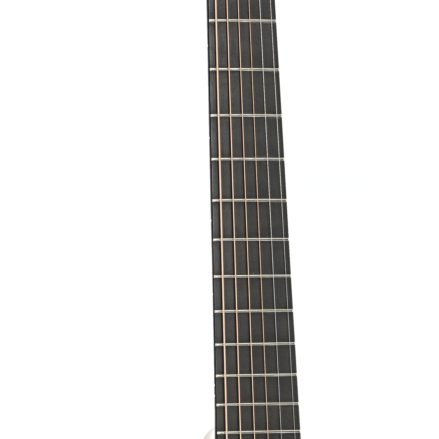 Fretboard of Walden R3030RCE Acoustic-Electric Guitar (c.2021)