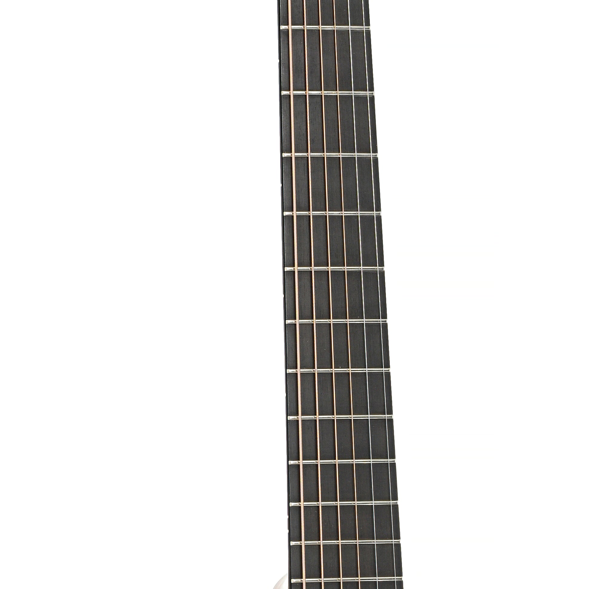 Fretboard of Walden R3030RCE Acoustic-Electric Guitar (c.2021)