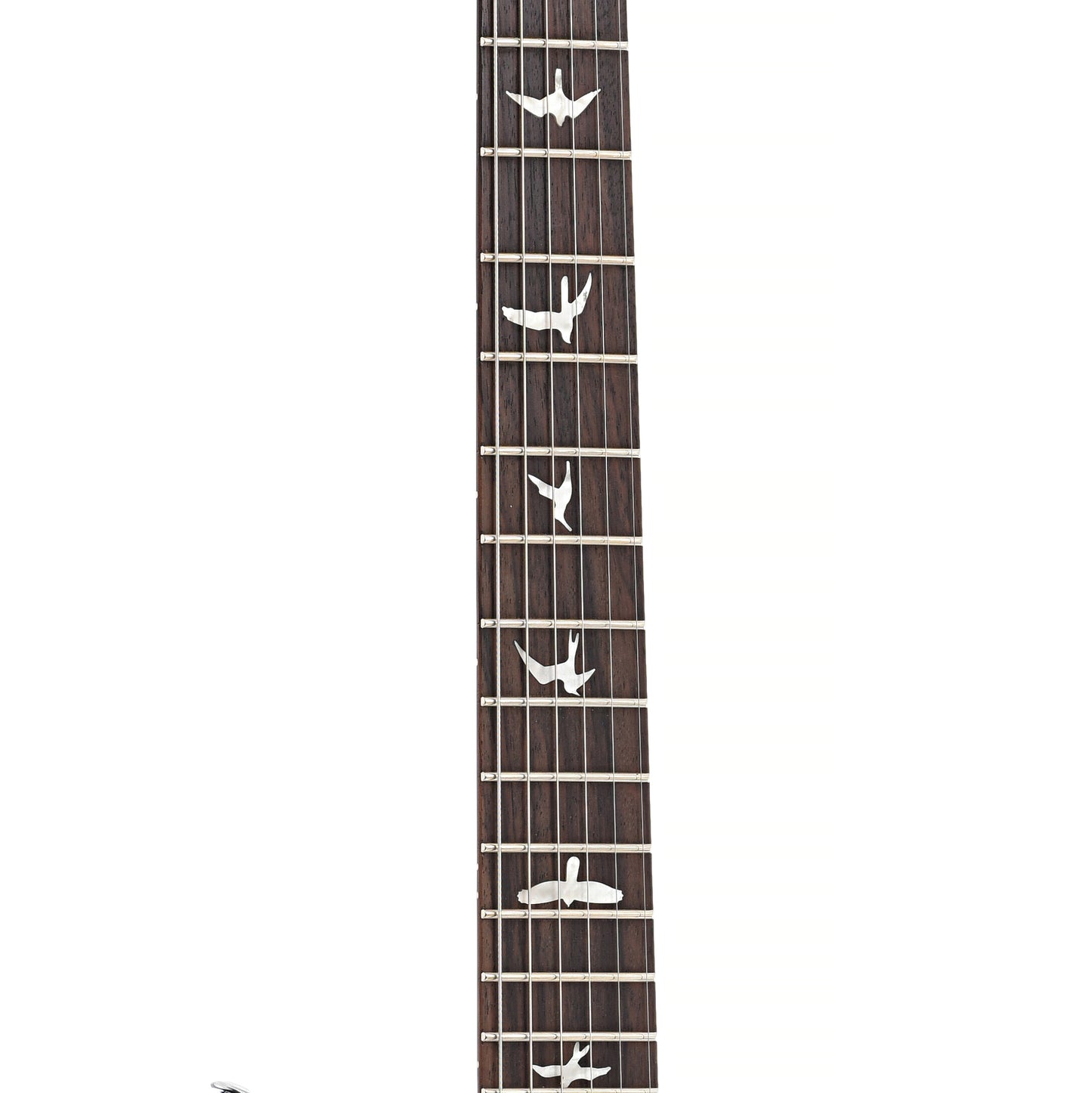 Fretboard of PRS SE CE24 Standard Satin Electric Guitar, Charcoal