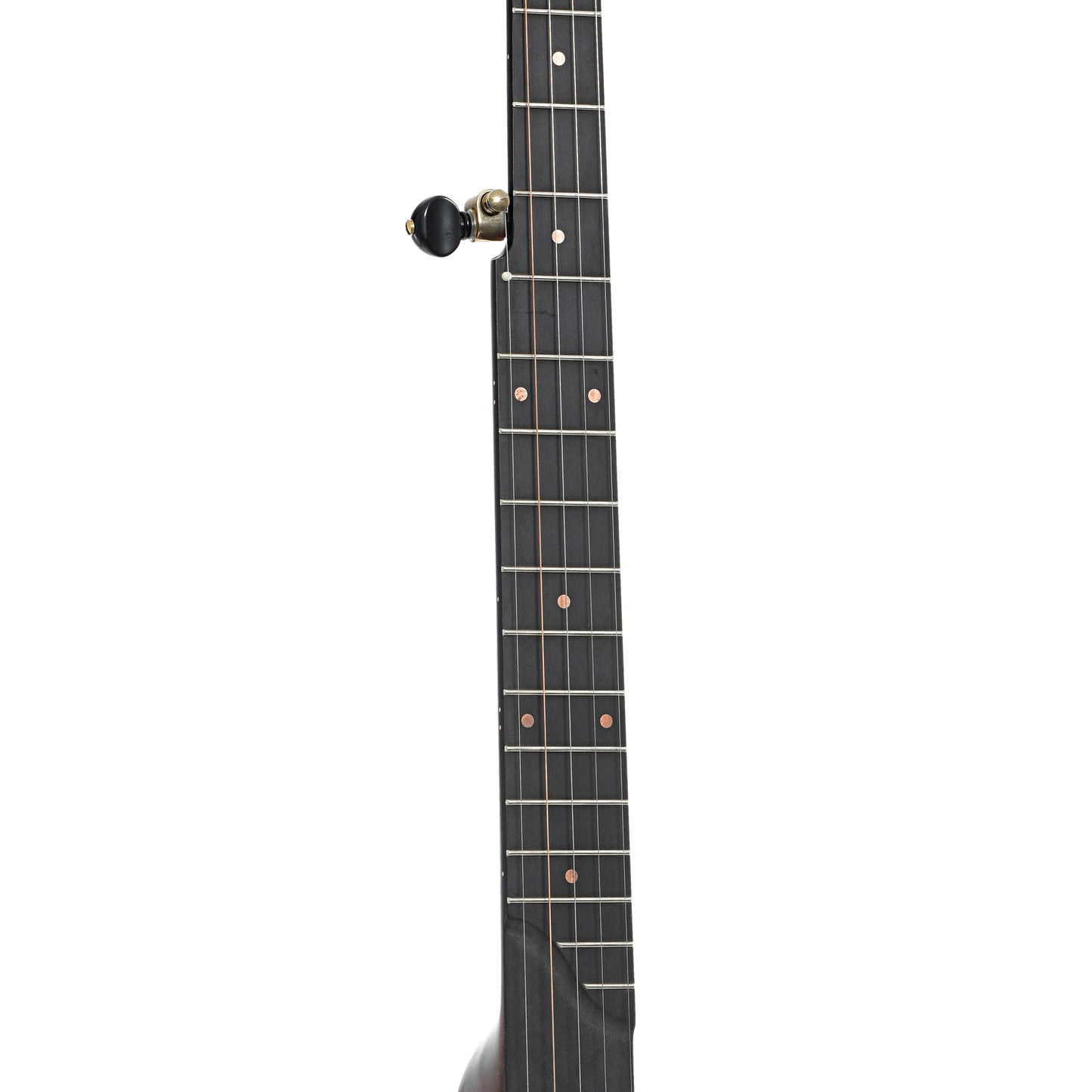 Fretboard of Pisgah Wonder 12" Openback Banjo - Standard Scale