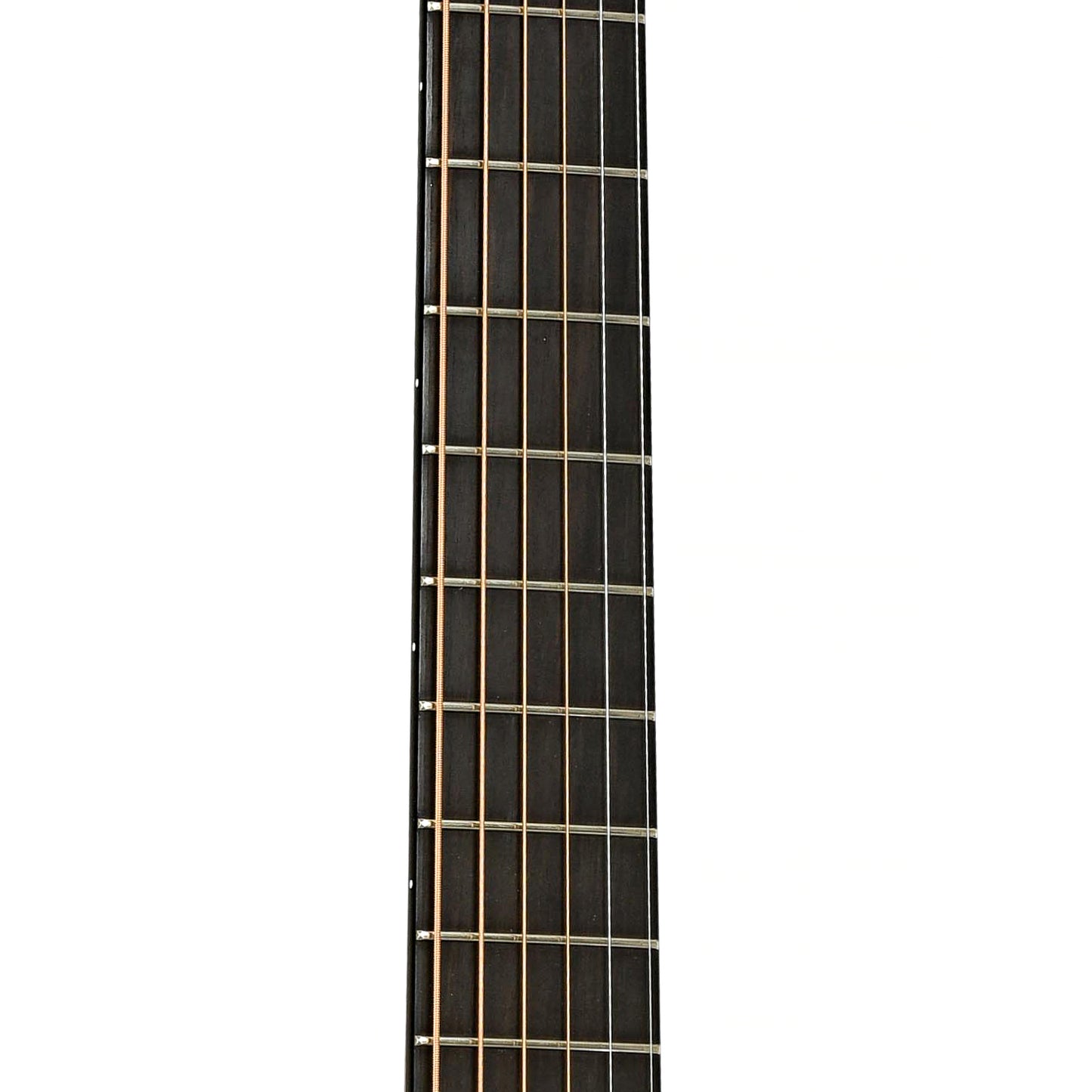 Fretboard of Santa Cruz FS Fingerstyle Model Acoustic Guitar