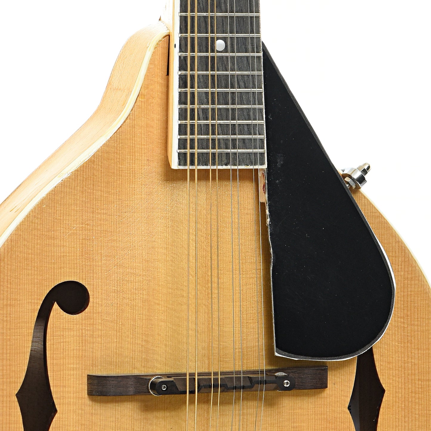 Bridge and pickguard of Jordan L. Buck A-Style Kit Mandolin (2024)