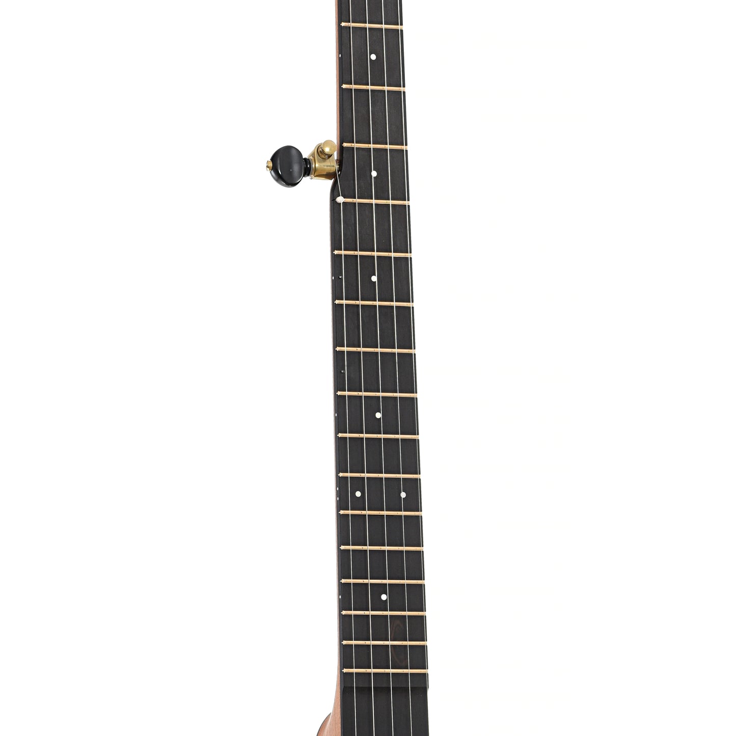 Fretboard of Ode Magician 12" Openback Banjo