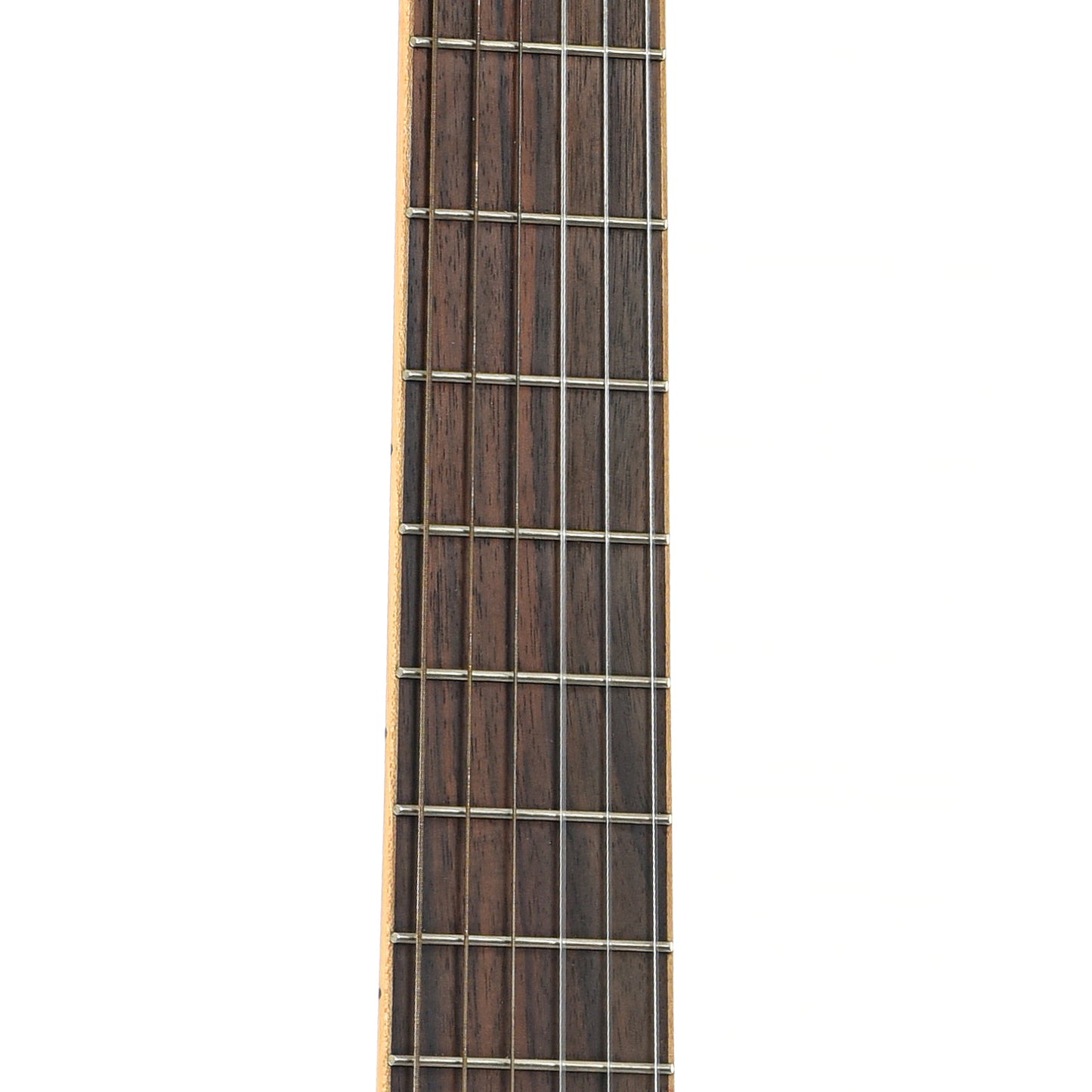 Fretboard of Cordoba C5-CESB Classical Guitar