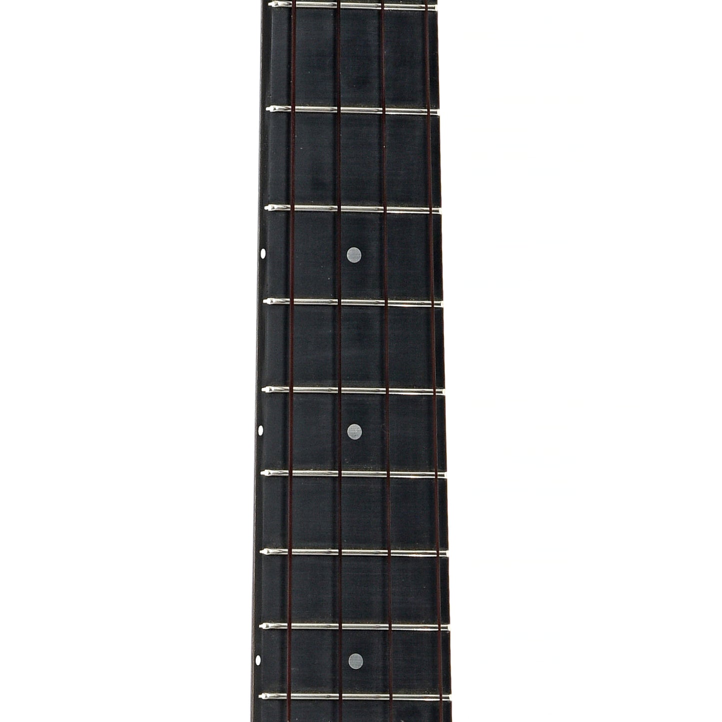 Fretboard of Blackbird Farralon Ekoa Tenor Ukulele 