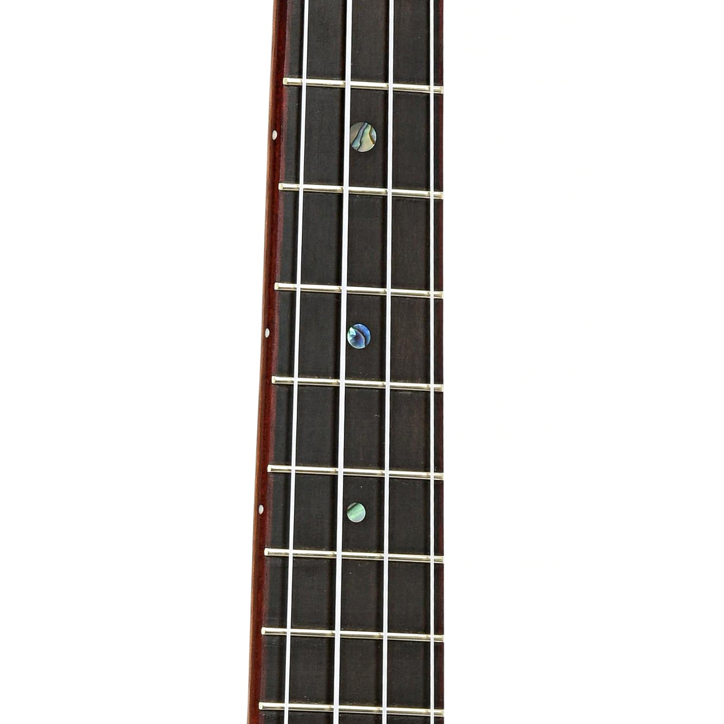 Fretboard of Mya Moe Tenor Resonator Ukulele 