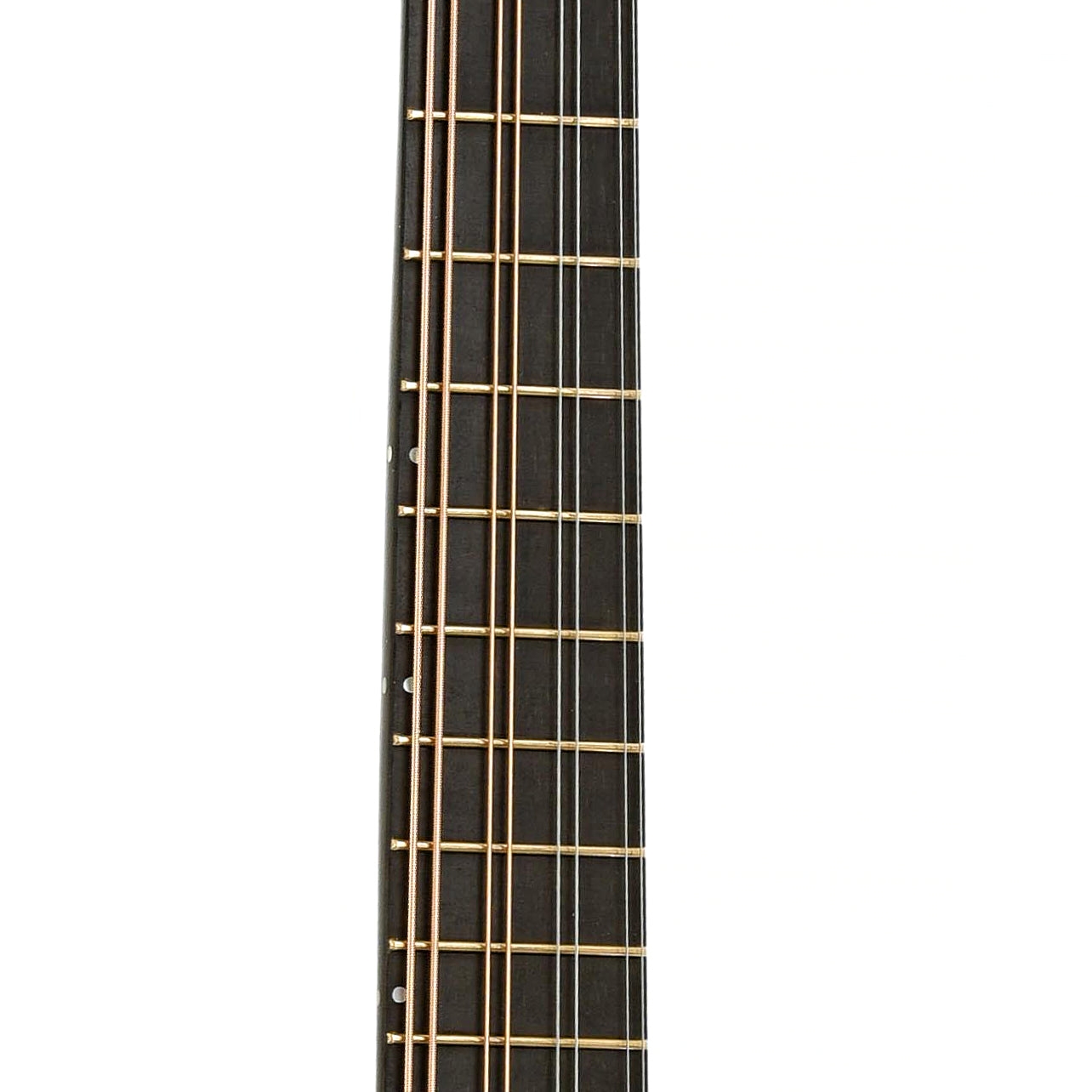 Fretboard of Phoenix Europa III Mandolin 