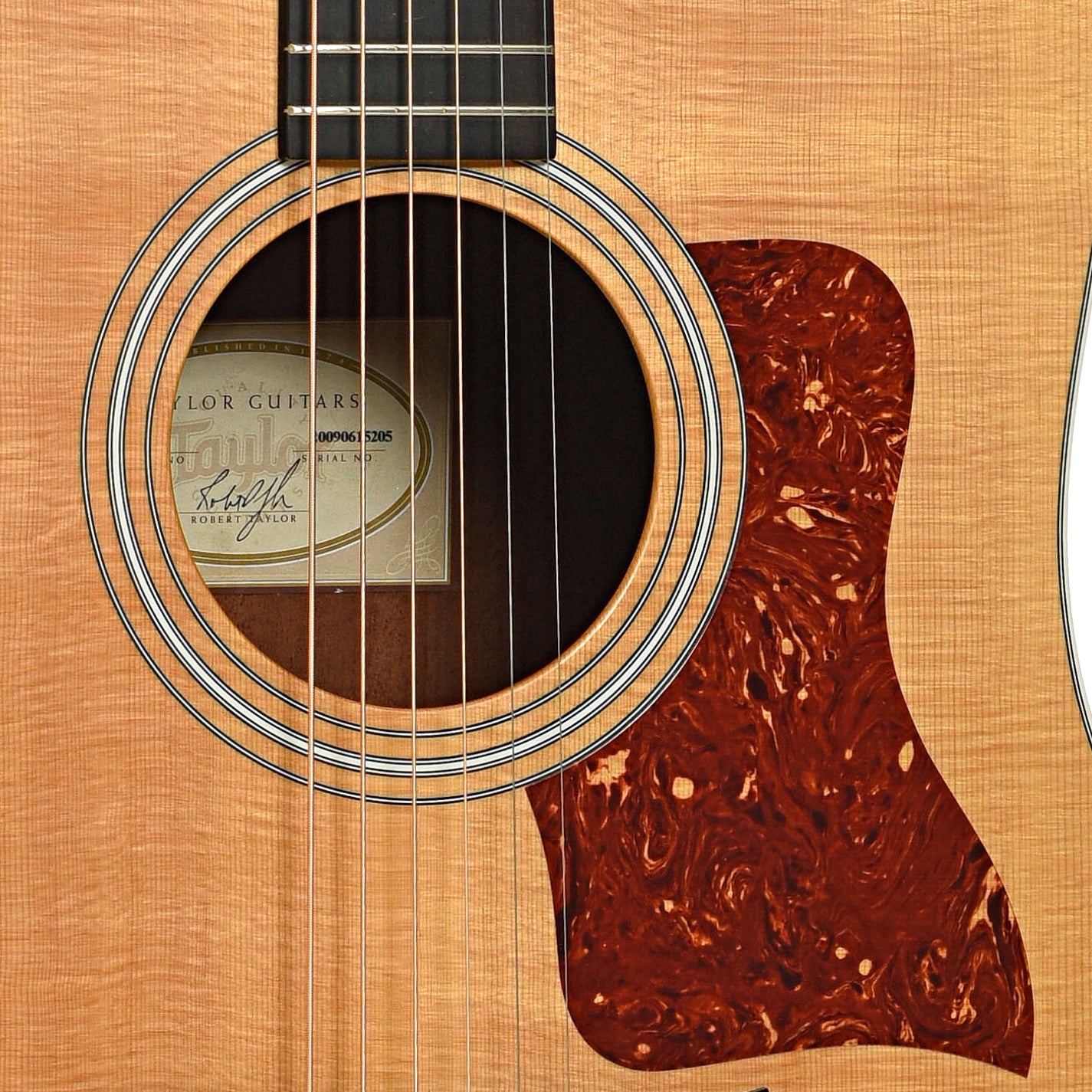 Sound hole of Taylor 210e Acoustic-Electric Guitar (2009)