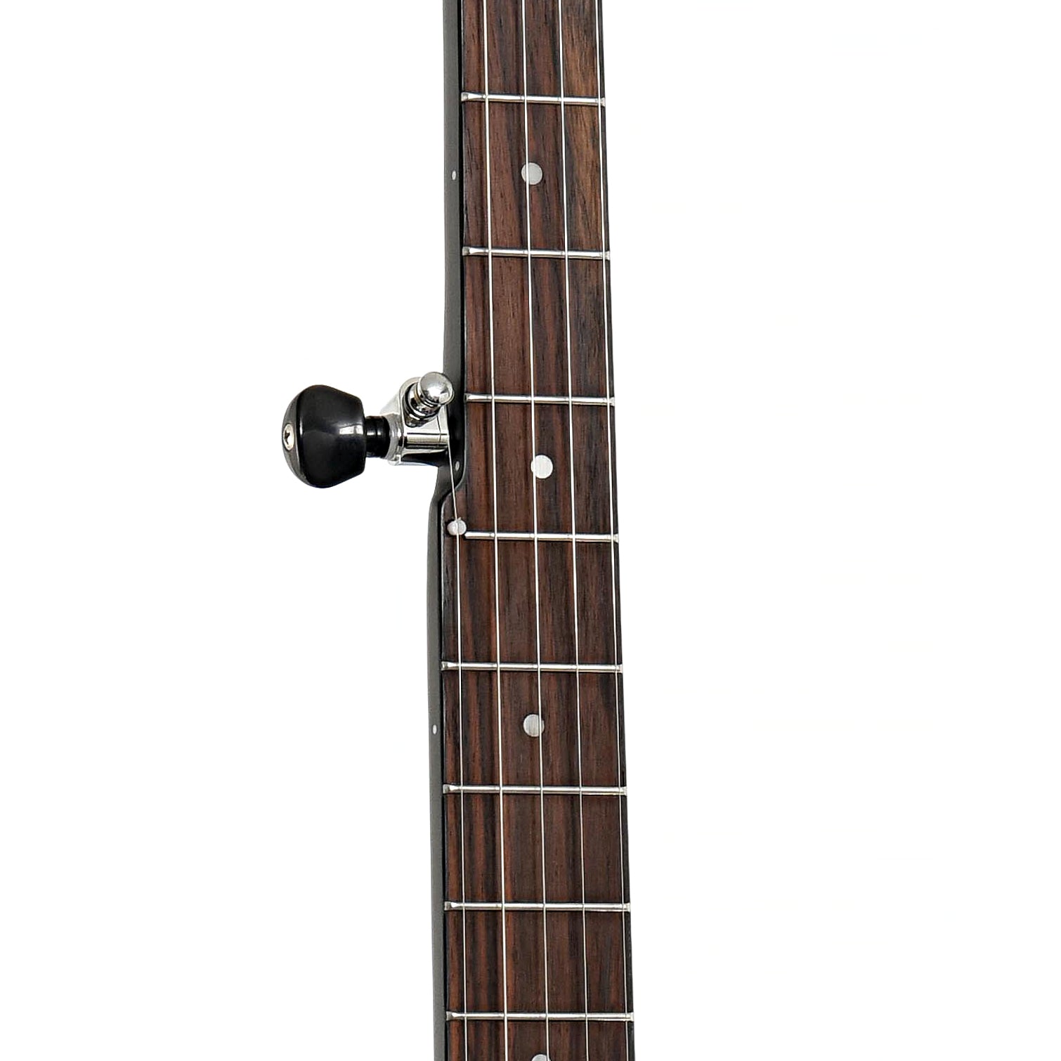 Fretboard of Gold Tone AC-1LN Long Neck Openback Banjo