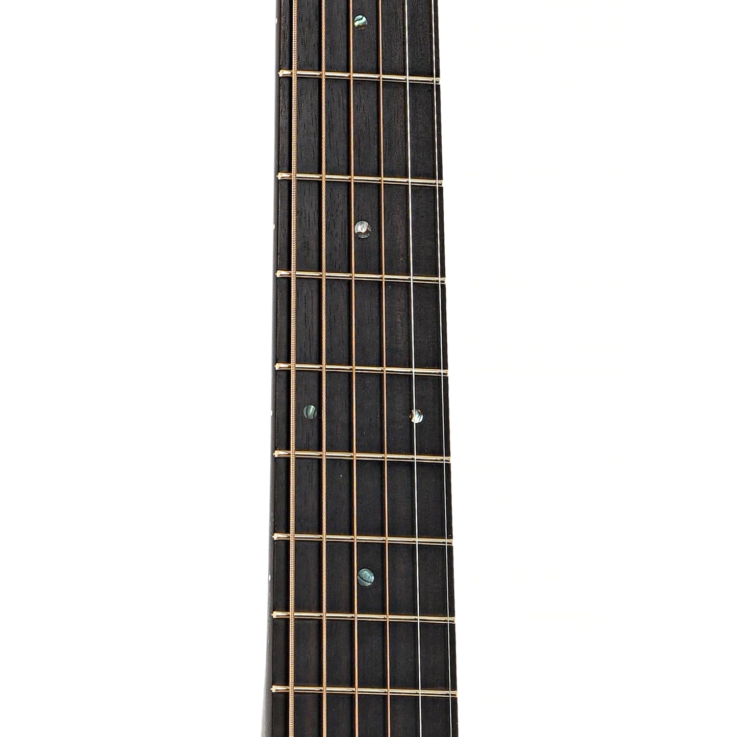 Fretboard of Halliday H1900 M-12 Acoustic Guitar