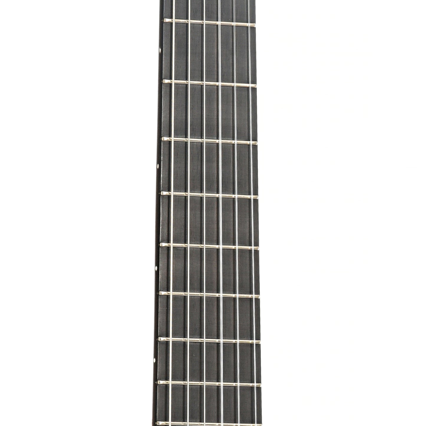 Fretboard of Zimnicki Classical Guitar