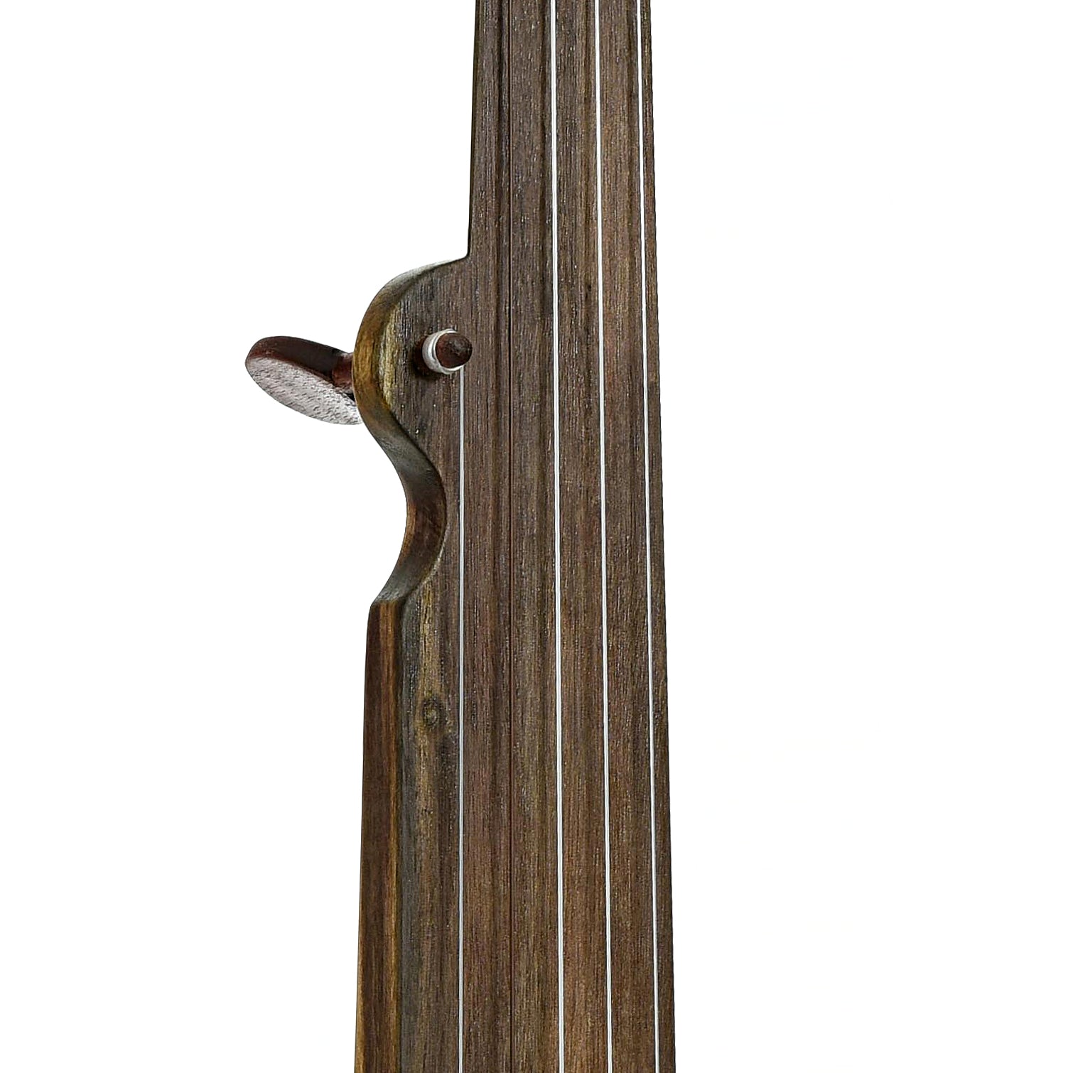 Fingerboard of Menzies Fretless Gourd Banjo #589