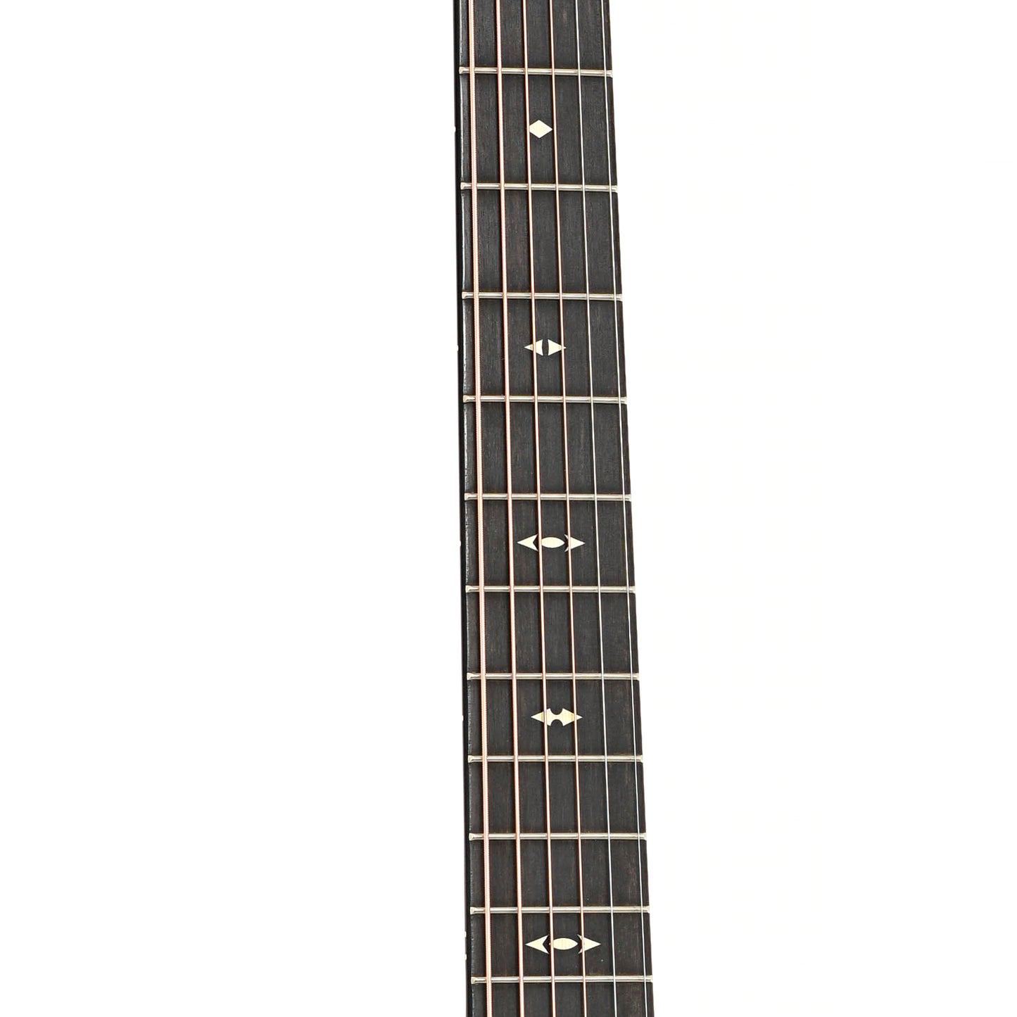 Fretboard of Taylor Builder's Edition 517e Acoustic Guitar