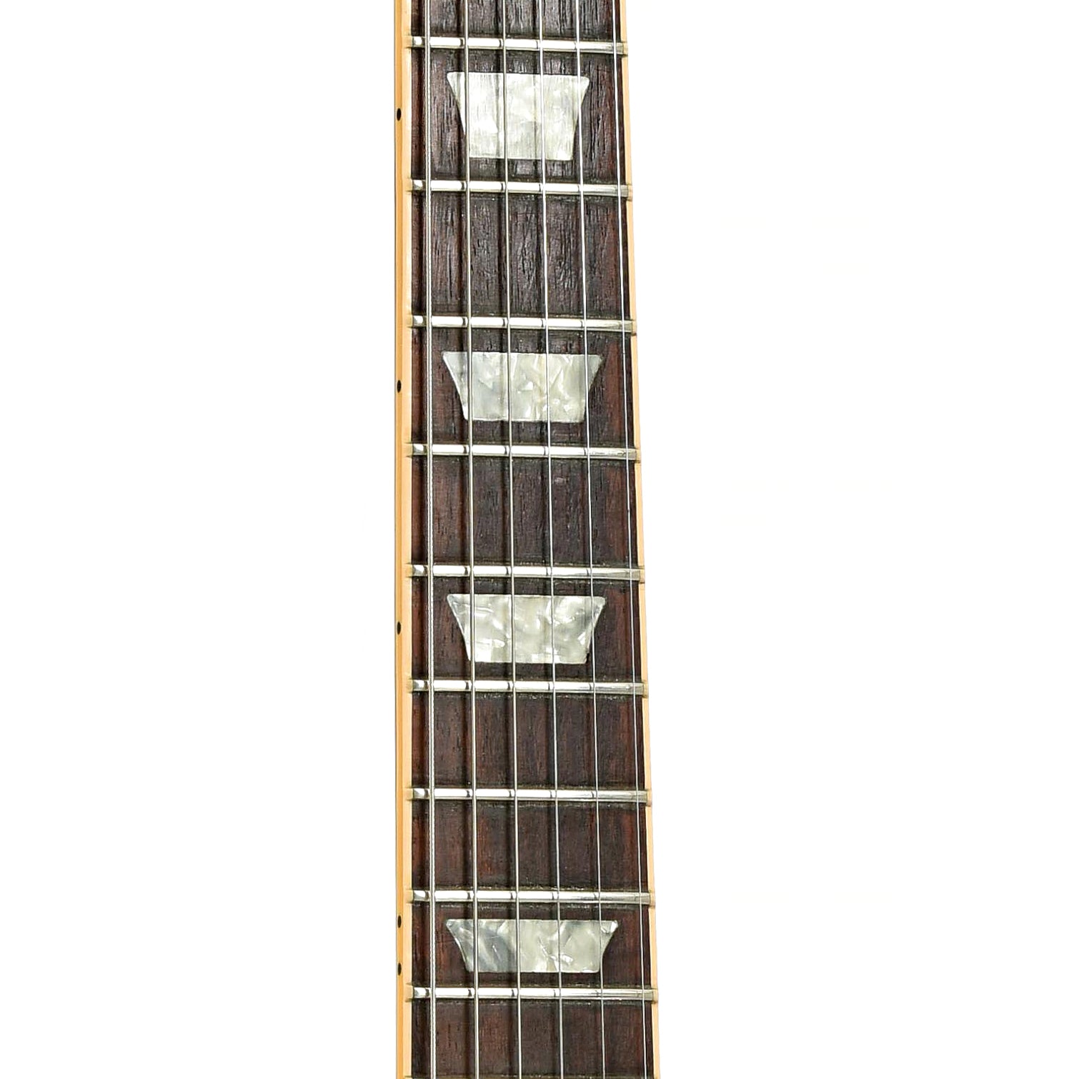 Fretboard of Gibson Les Paul Standard Plus