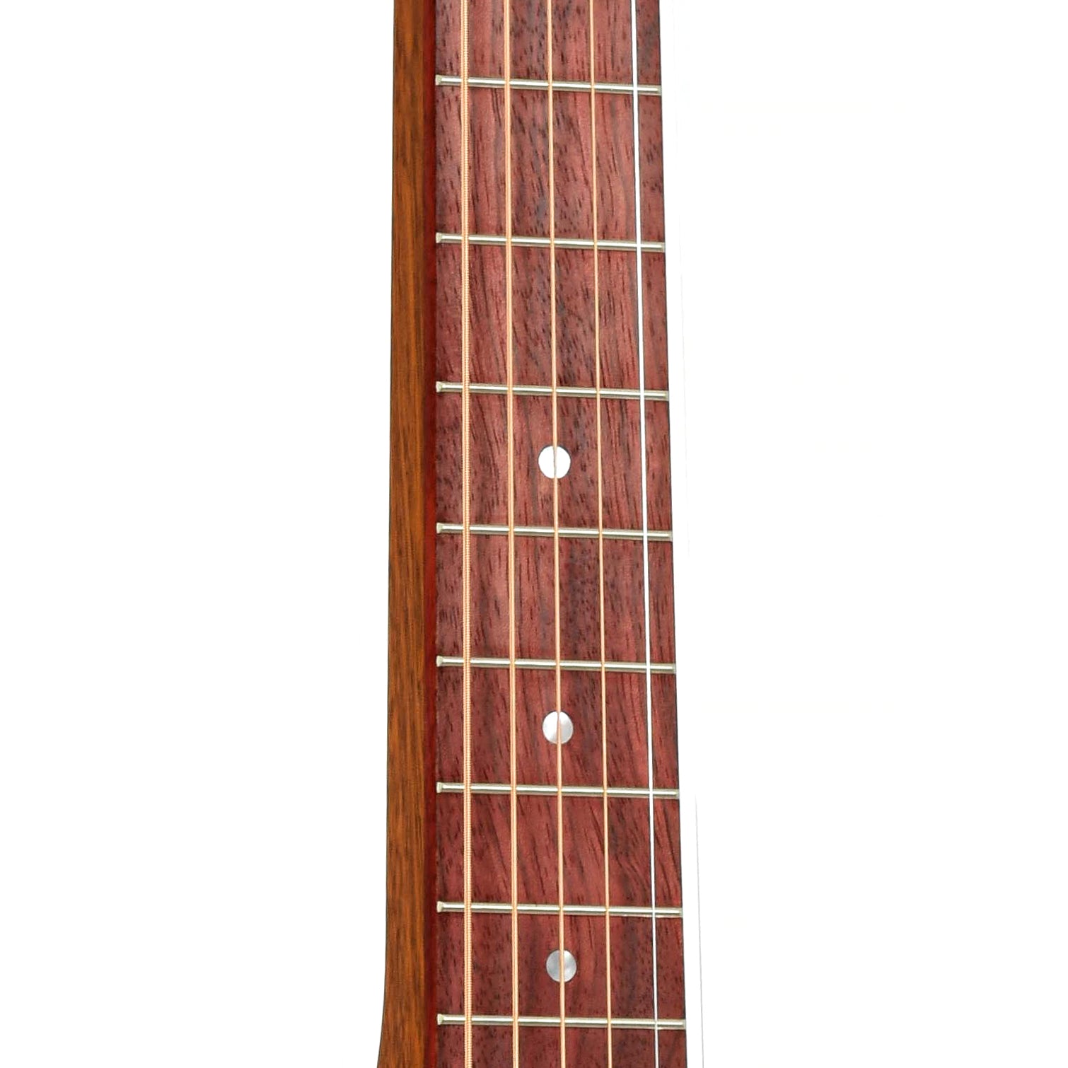 Fretboard of Beard Jerry Douglas Brown-Beard Squareneck Resonator Guitar