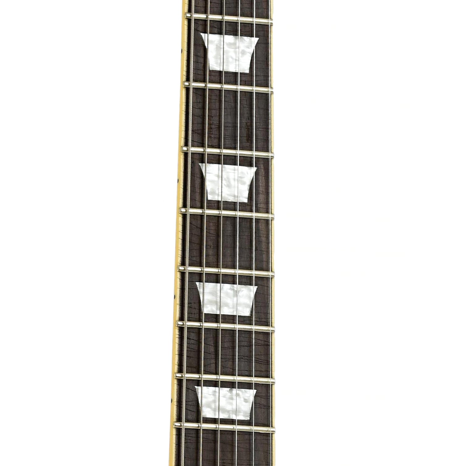 Fretboard of Vintage V100AFD Electric Guitar