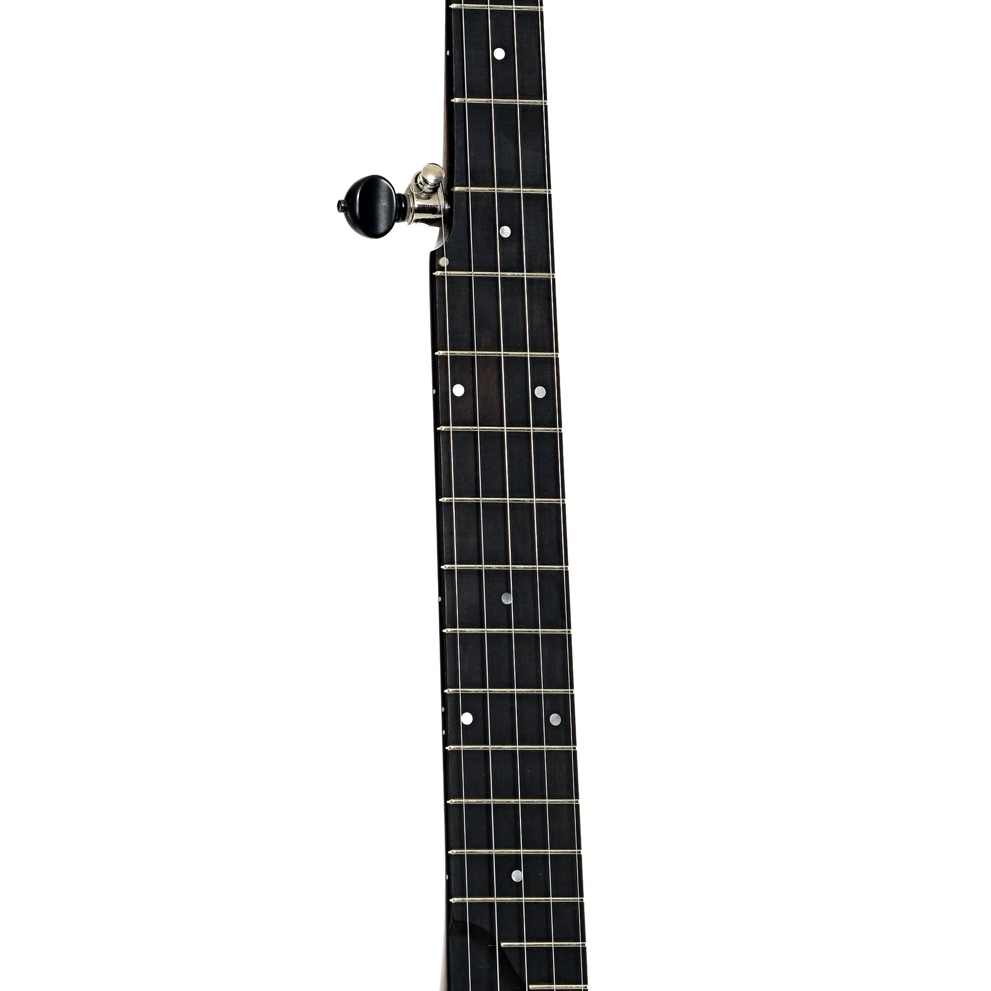 Fretboard of Enoch Dobson Model  Openback Banjo (2015)