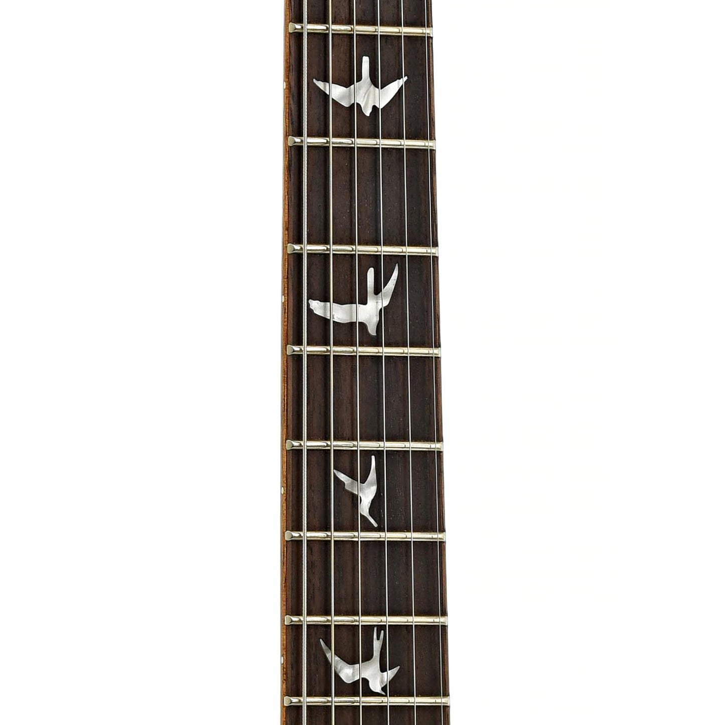 Fretboard of PRS DGT SE electric Guitar