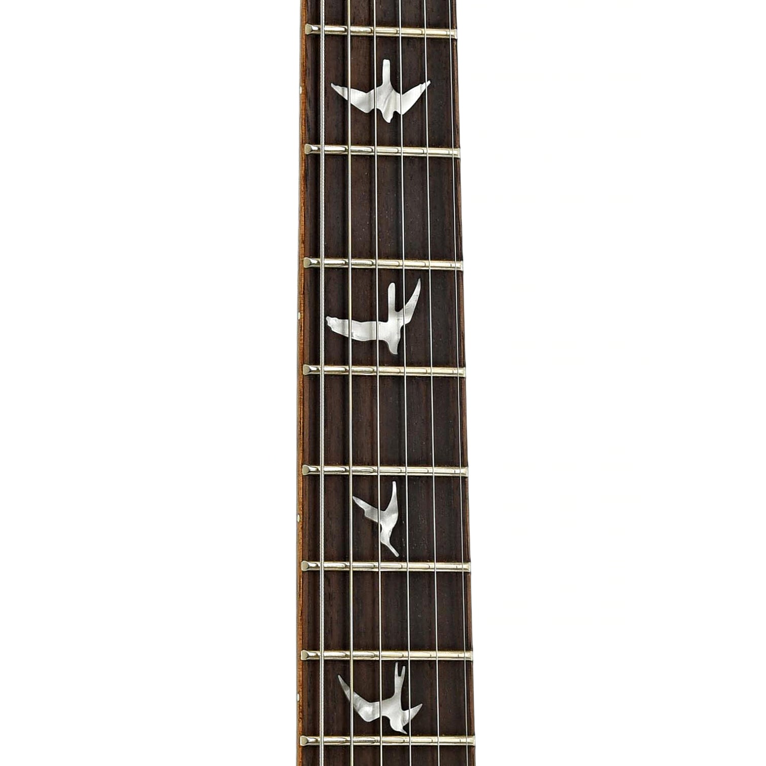 Fretboard of PRS DGT SE electric Guitar