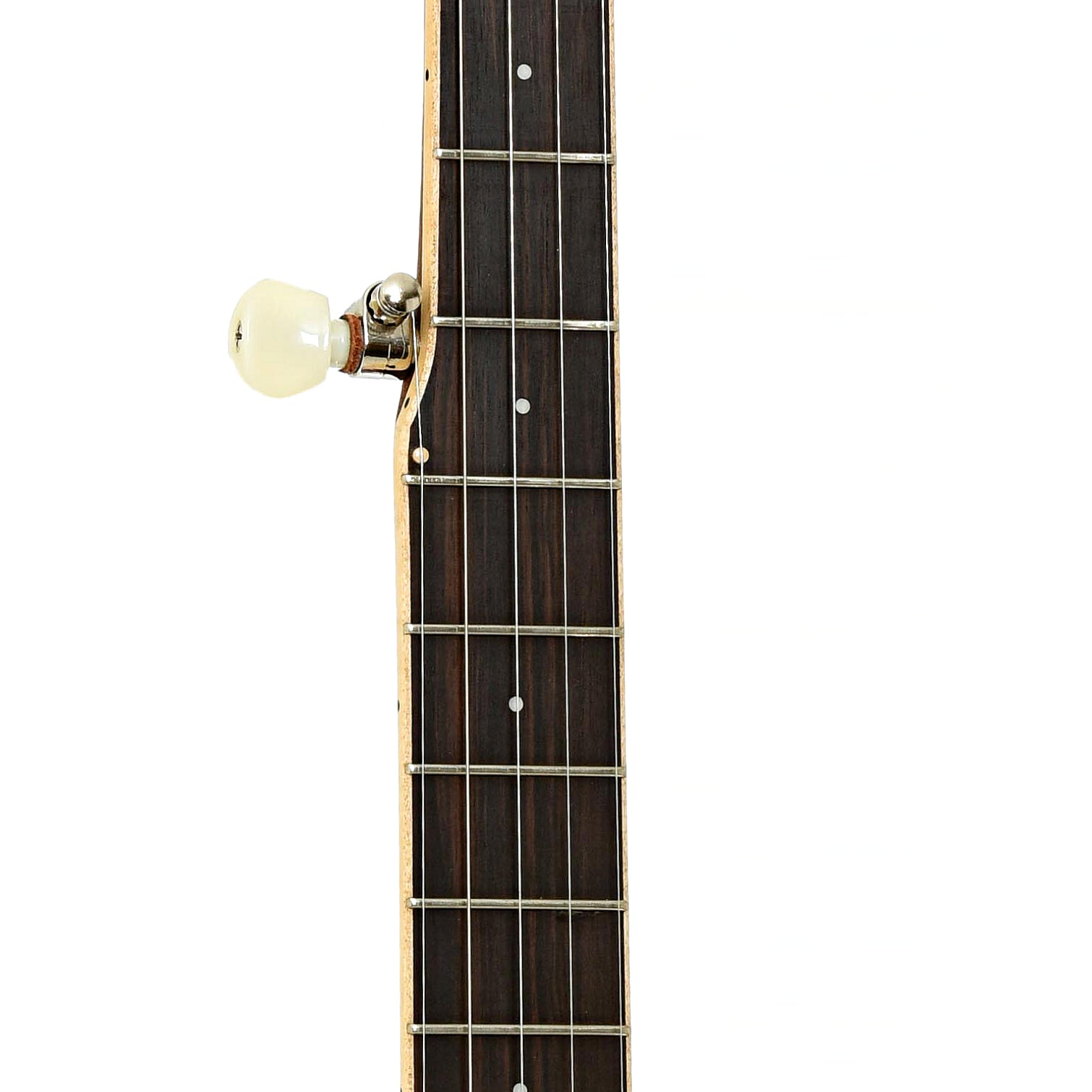 Fretboard of Gold Tone HM100 HIgh Moon Open Back Banjo 