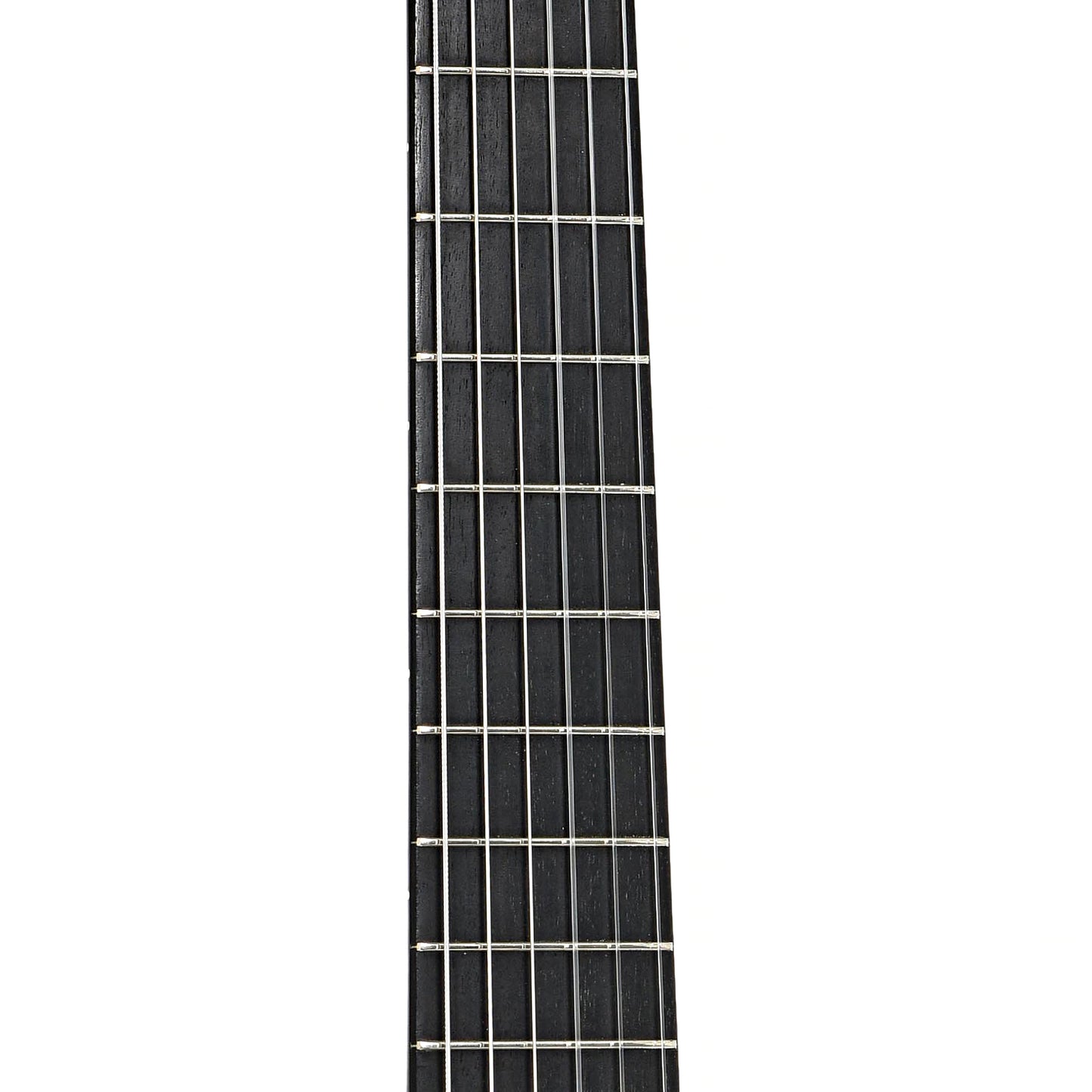 Fretboard of Eastman JB-Cabaret John Buscarino (2021)