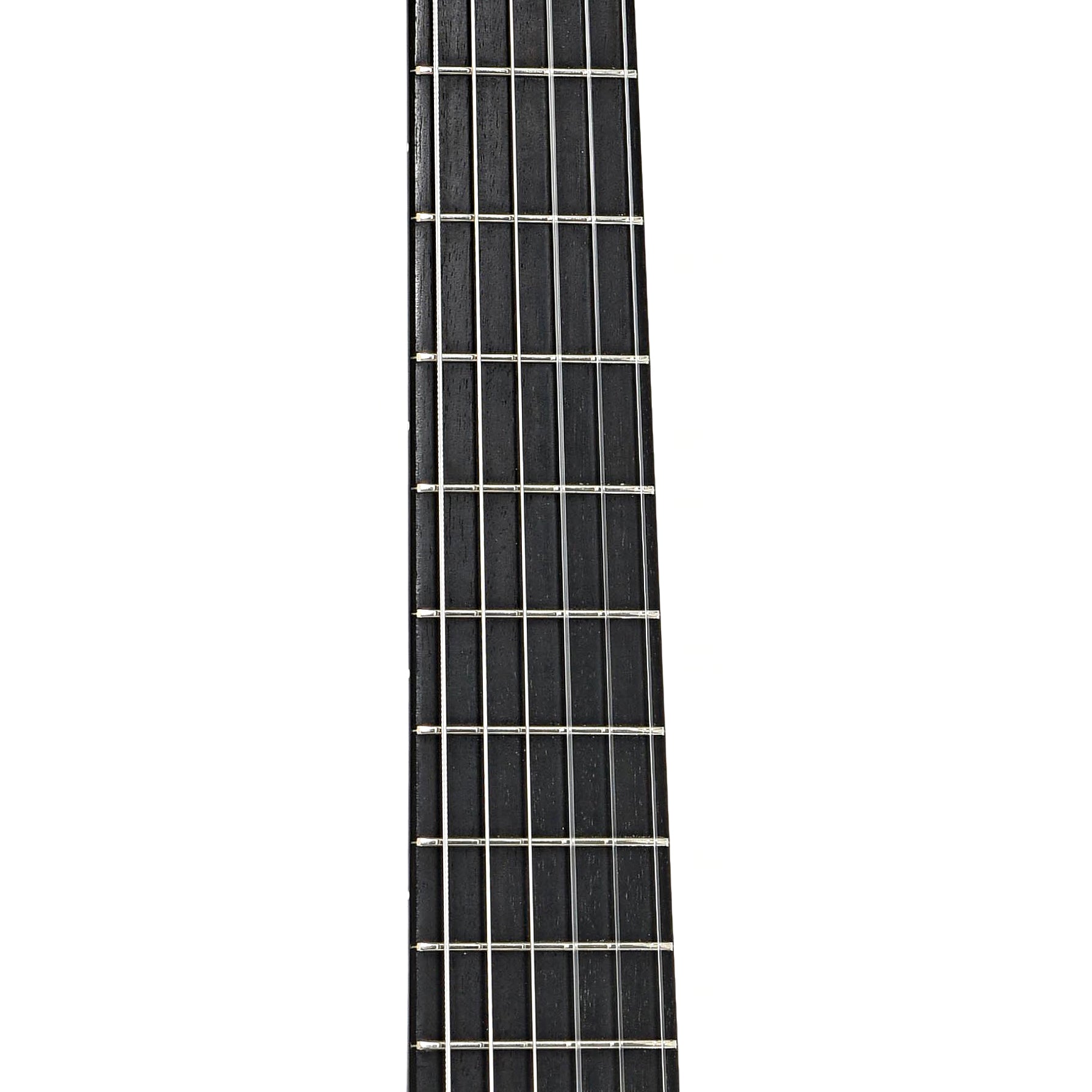 Fretboard of Eastman JB-Cabaret John Buscarino (2021)