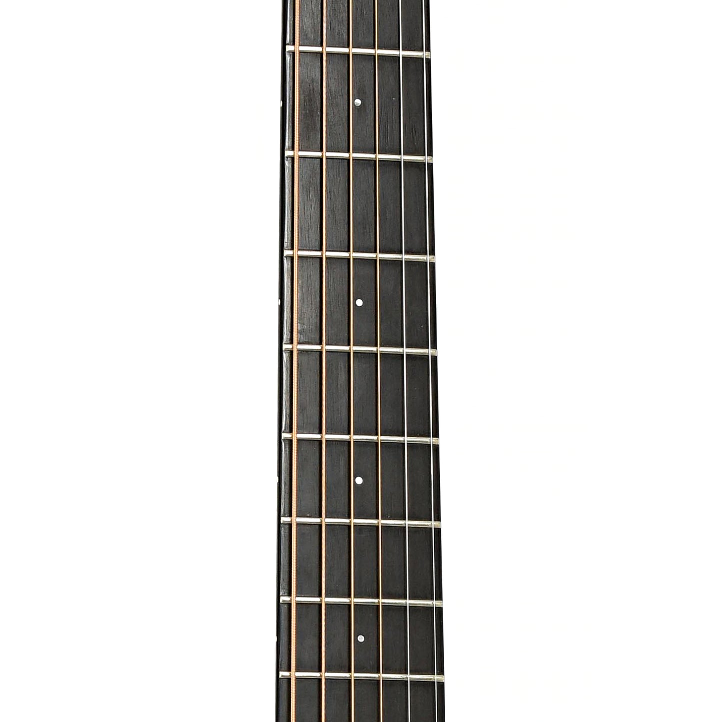 Fretboard of Santa Cruz VJ Acoustic Guitar