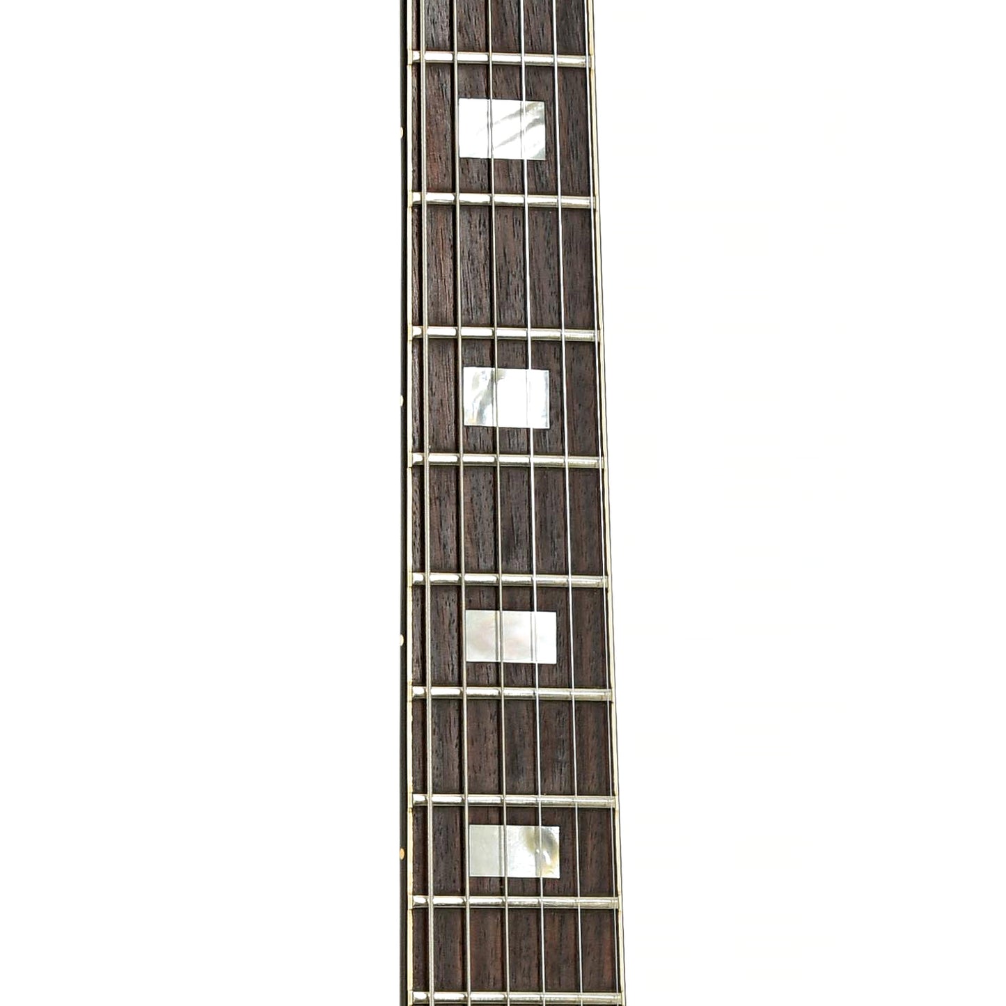 Fretboard of Gibson Les Paul Recording Electric Guitar