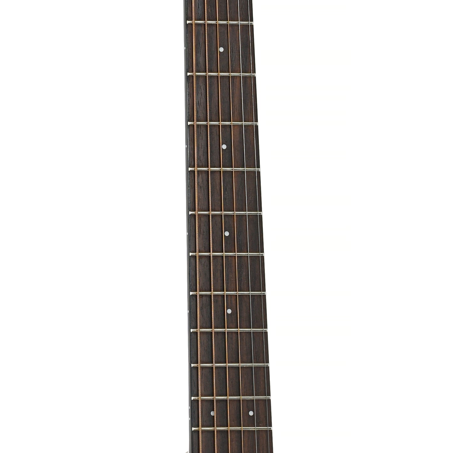 fretboard of Walden 0550E Acoustic Guitar