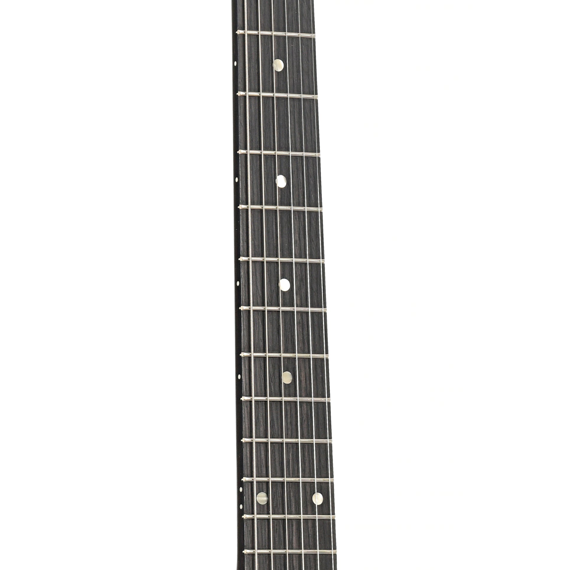 Fretboard of Gibson Les Paul Special Electric Guitar (2011)