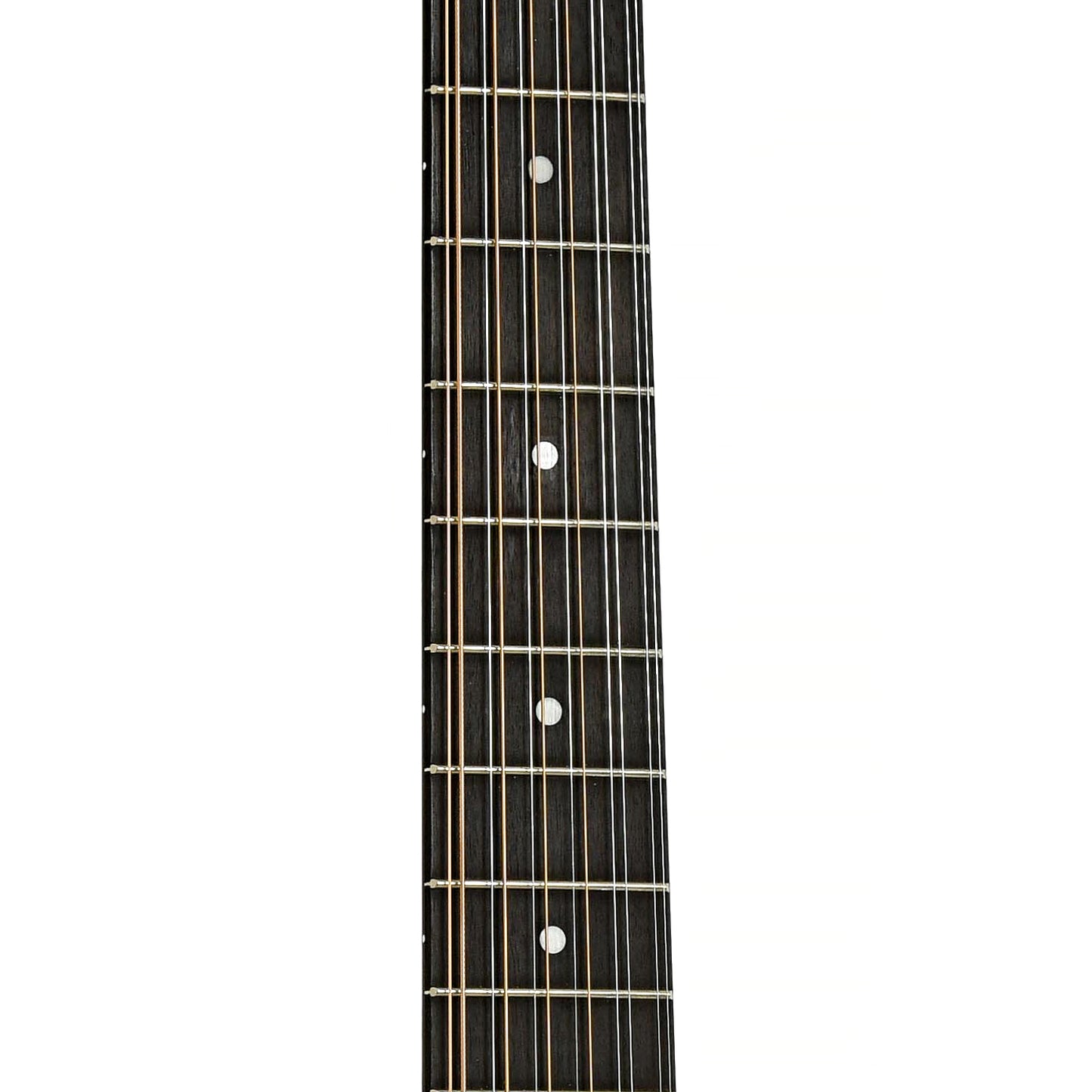 Fretboard of Taylor 150e 12-String Guitar 