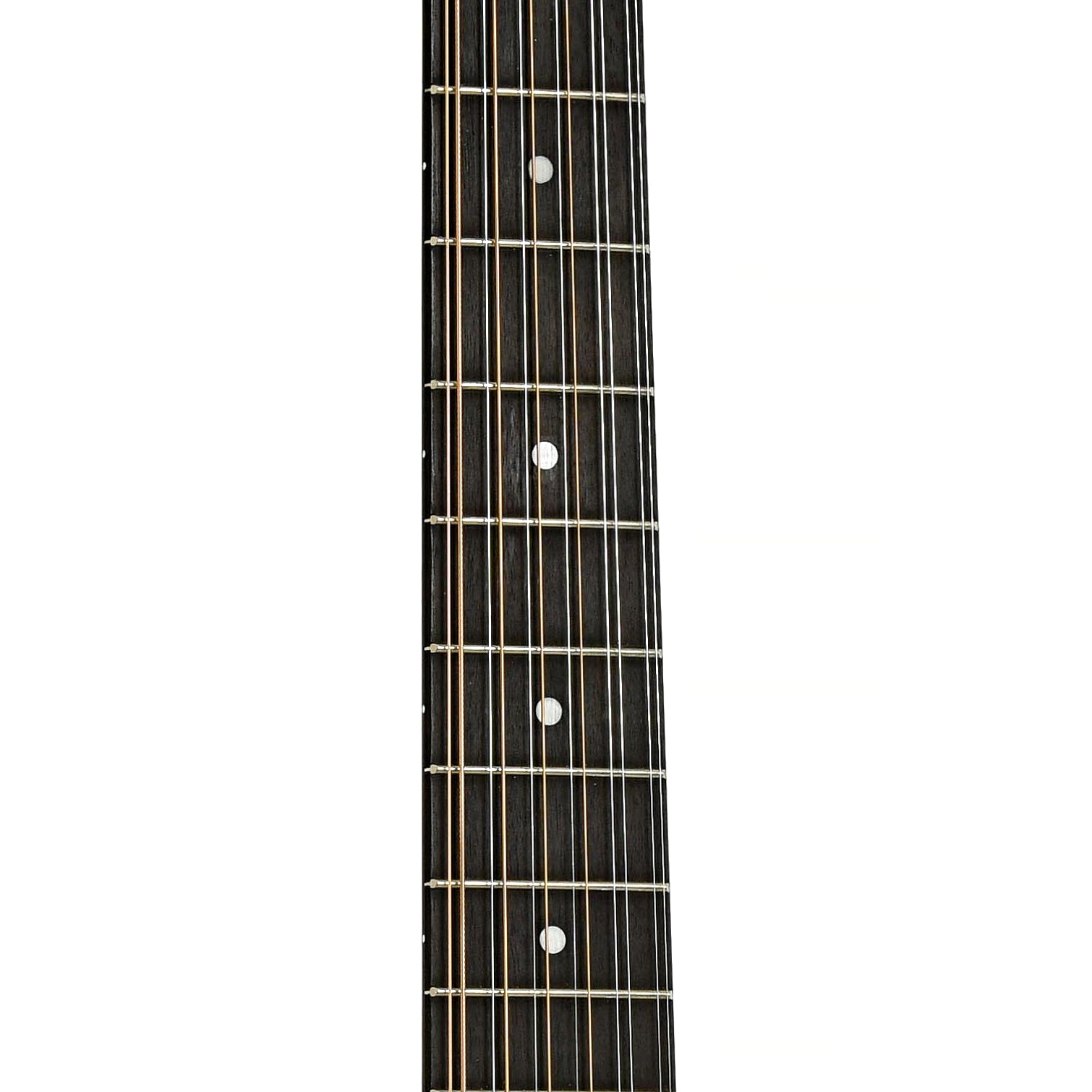 Fretboard of Taylor 150e 12-String Guitar 