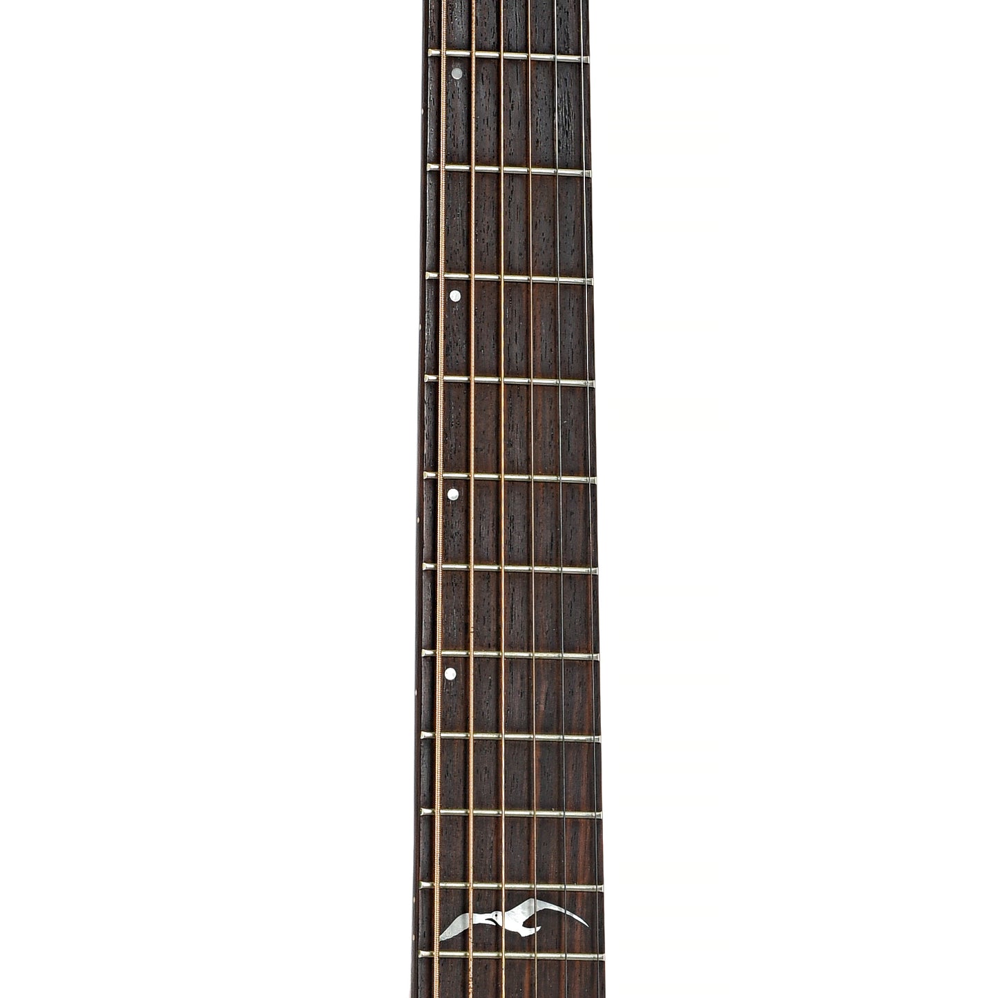 Fretboard of Seagull Artist Mosaic Acoustic Guitar (2005)