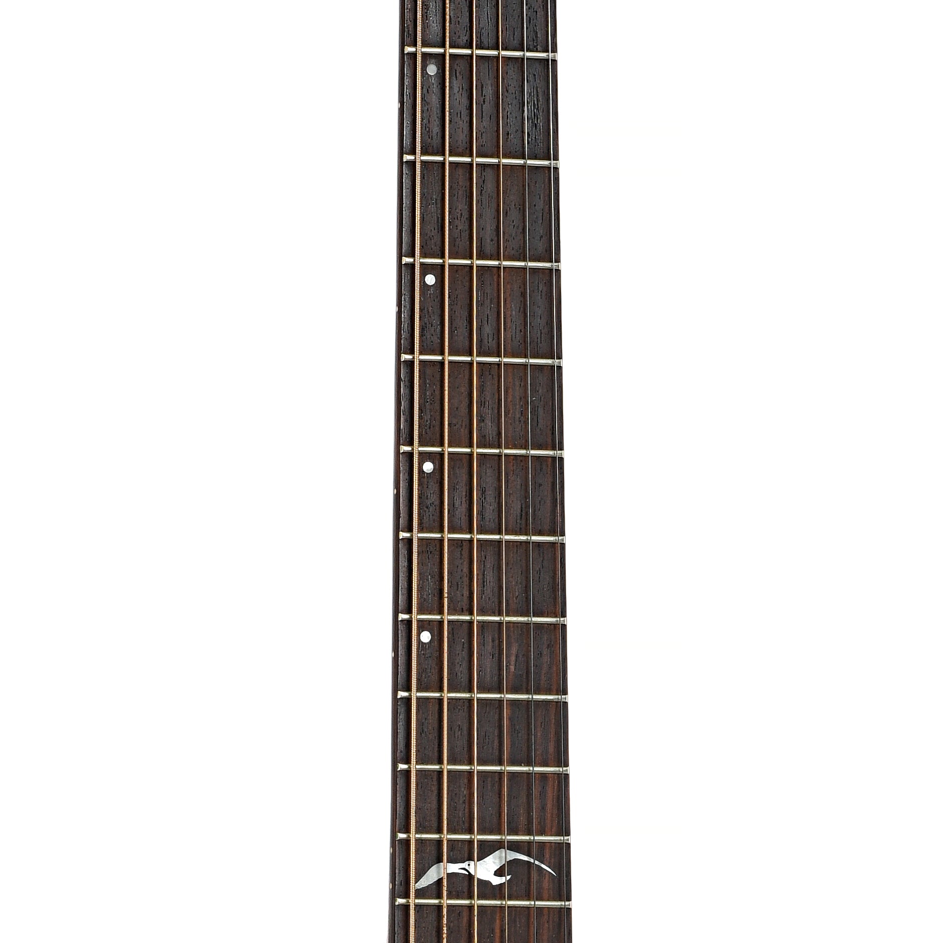 Fretboard of Seagull Artist Mosaic Acoustic Guitar (2005)