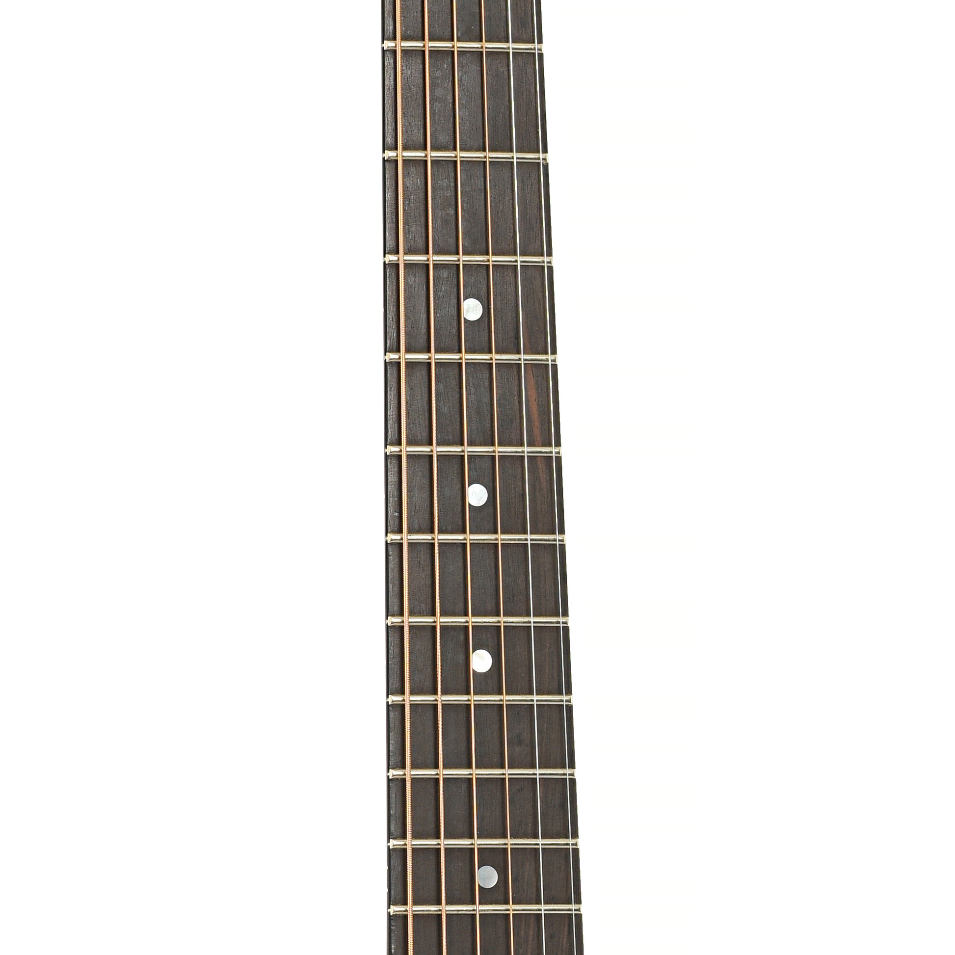 Fretboard of National Ivory NRP 14 Roundneck Resonator Guitar (2016)