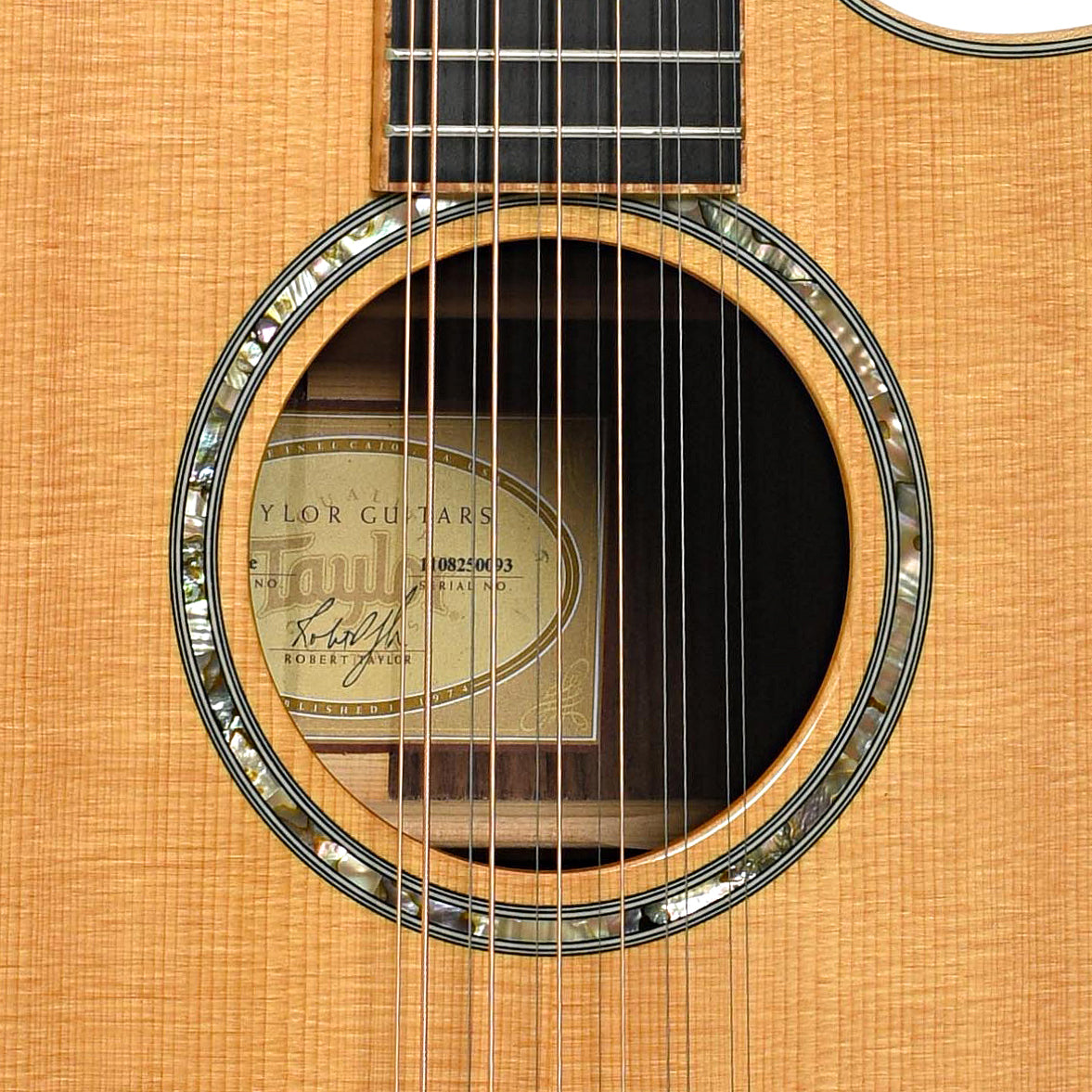 Sound hole of Taylor 856ce 12-String Acoustic Guitar (2010)