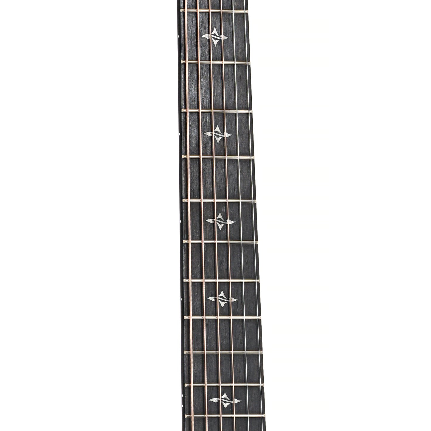 Fretboard of Taylor 417e Acoustic