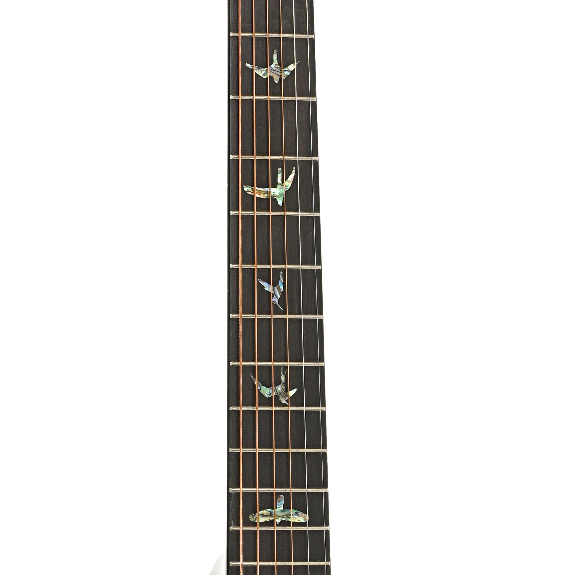 Fretboard of PRS SE A50E Acoustic-Electric Guitar, Natural w/ Black Gold Burst (2022)