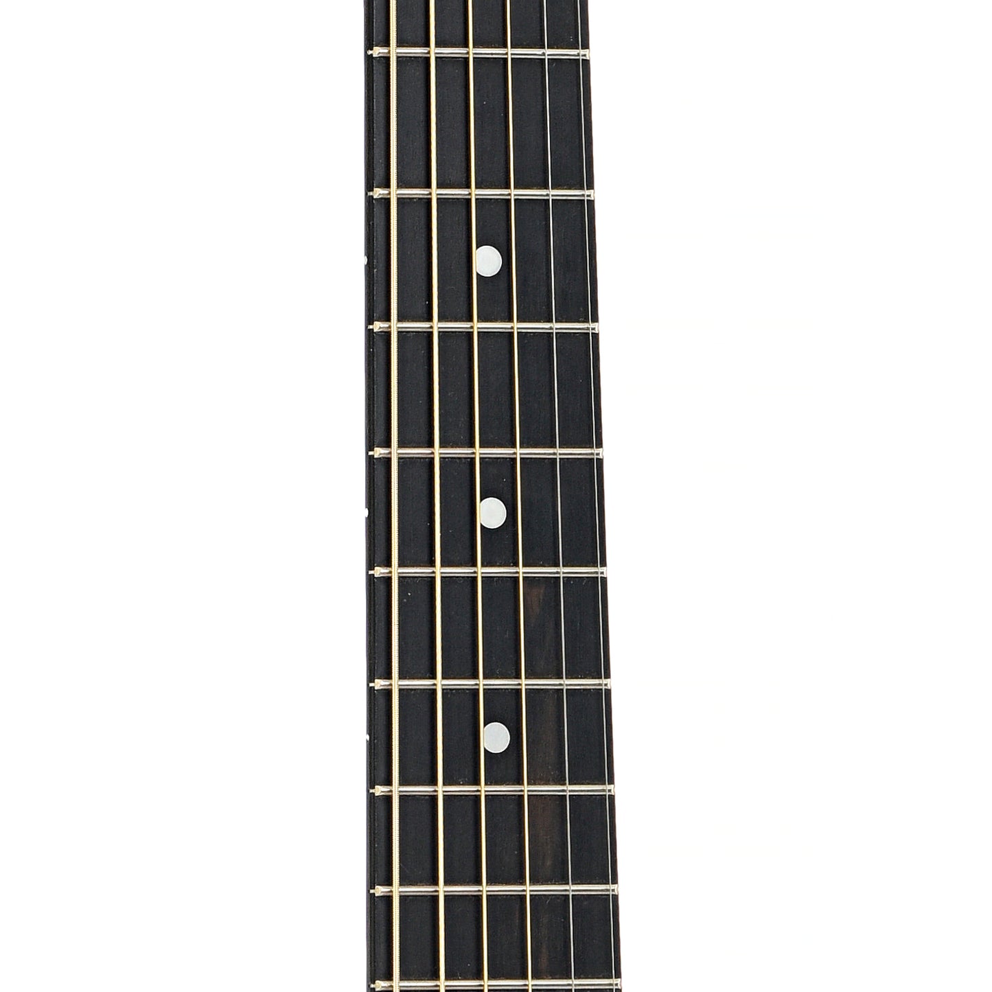 Fretboard of Taylor Baby 305-GB Acoustic Guitar