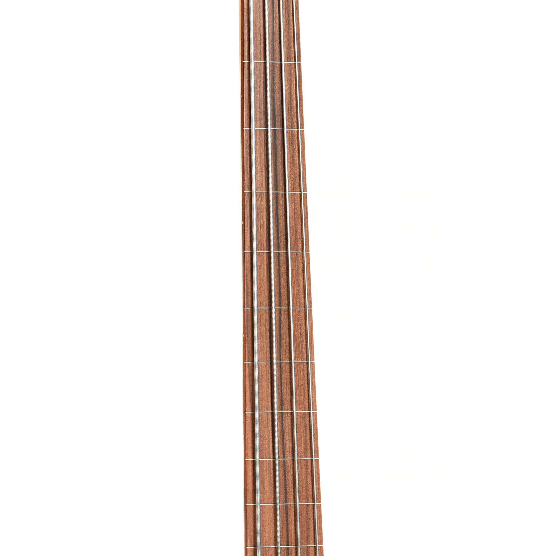 Fretboard of Fender Player Fretless Jazz Bass