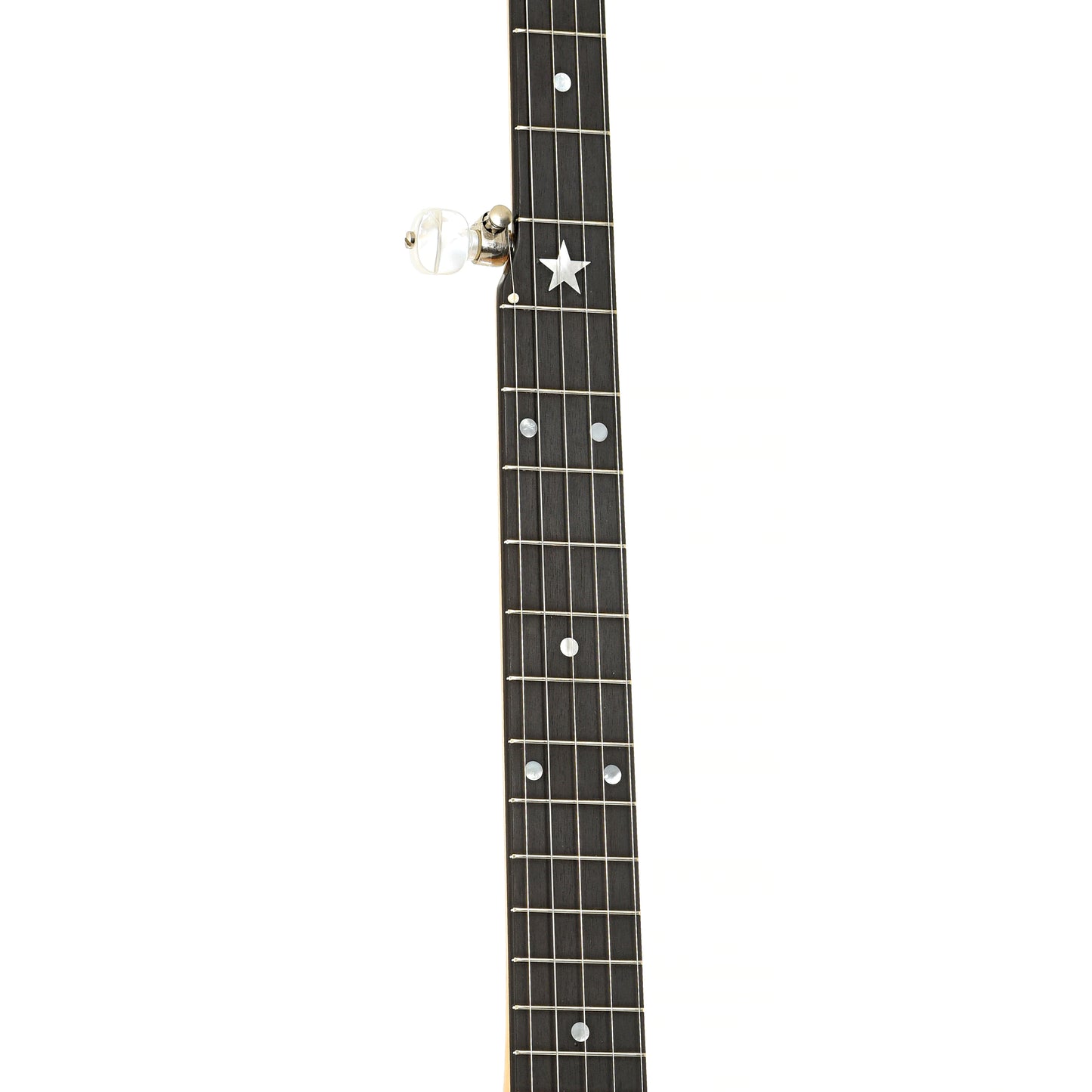 Fretboard of Bart Reiter Special Open Back Banjo (1996)