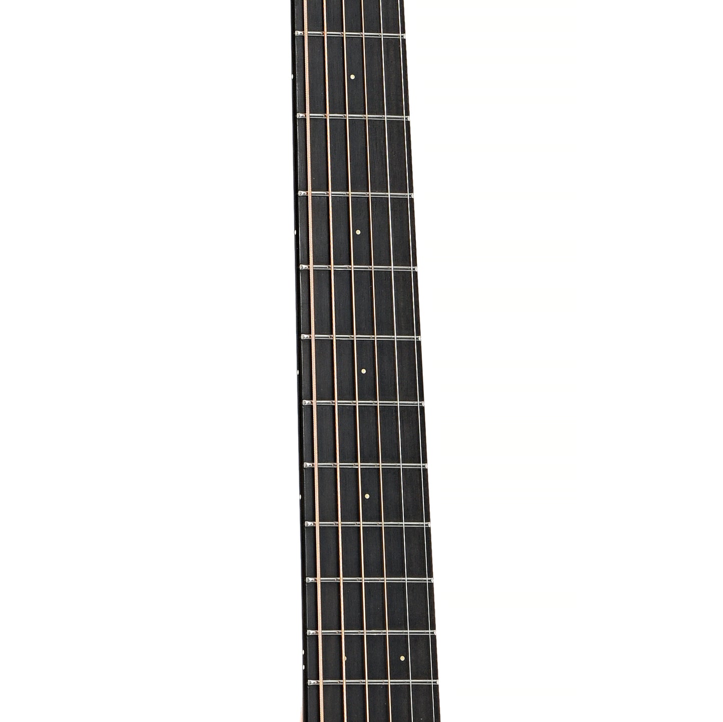 fretboard of Furch Blue MC Plus GC-OM Acoustic Guitar (2022)