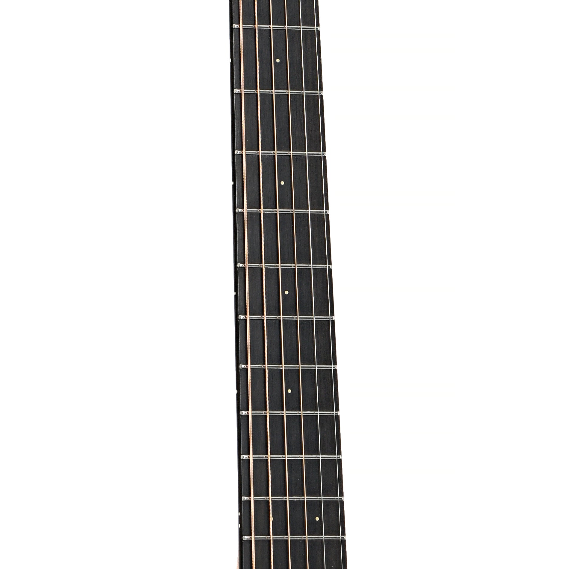 fretboard of Furch Blue MC Plus GC-OM Acoustic Guitar (2022)