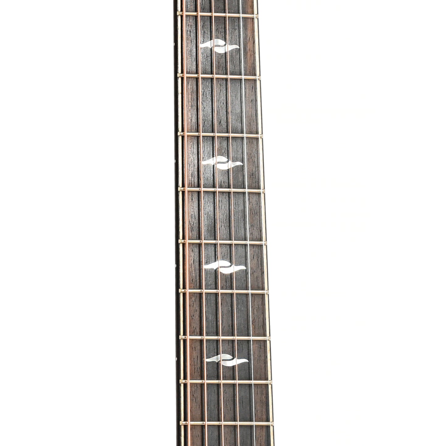 Fretboard of Taylor Builder's Edition 814ce