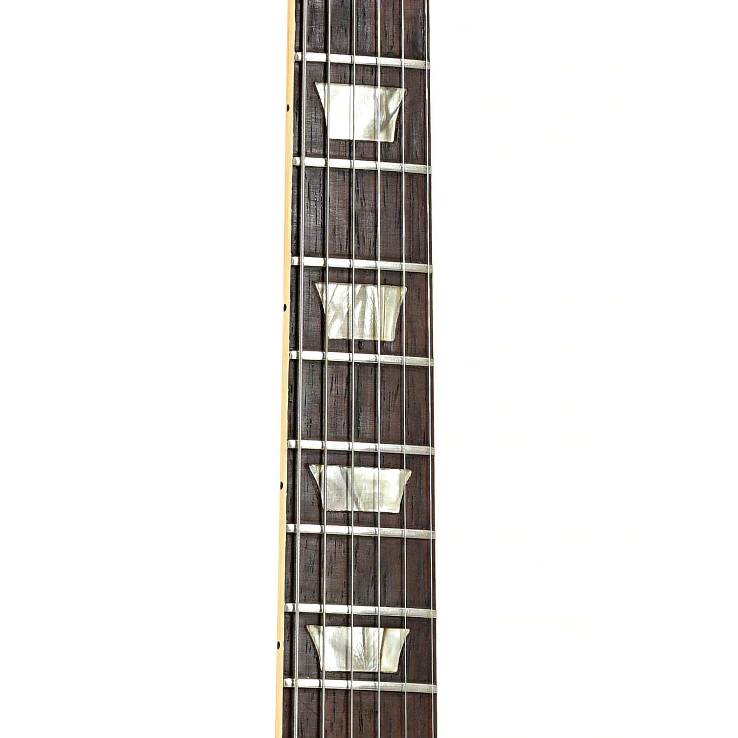 Fretboard of Gibson Les Paul Standard Electric Guitar 