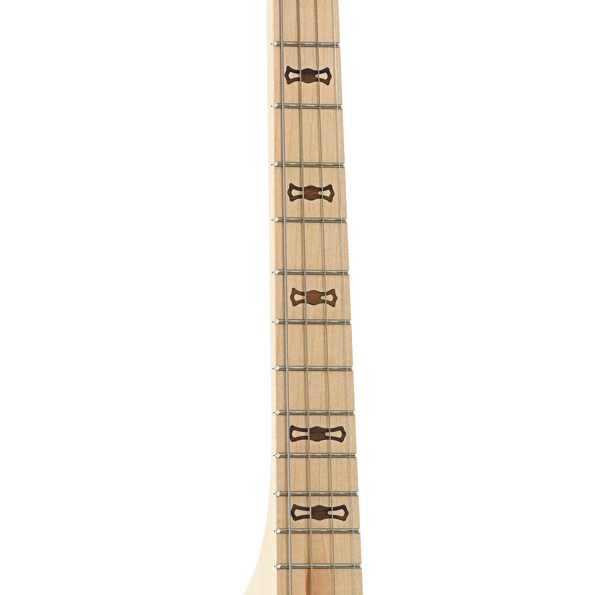 Fretboard of Deering Goodtime 17-Fret Tenor Banjo (2010s)